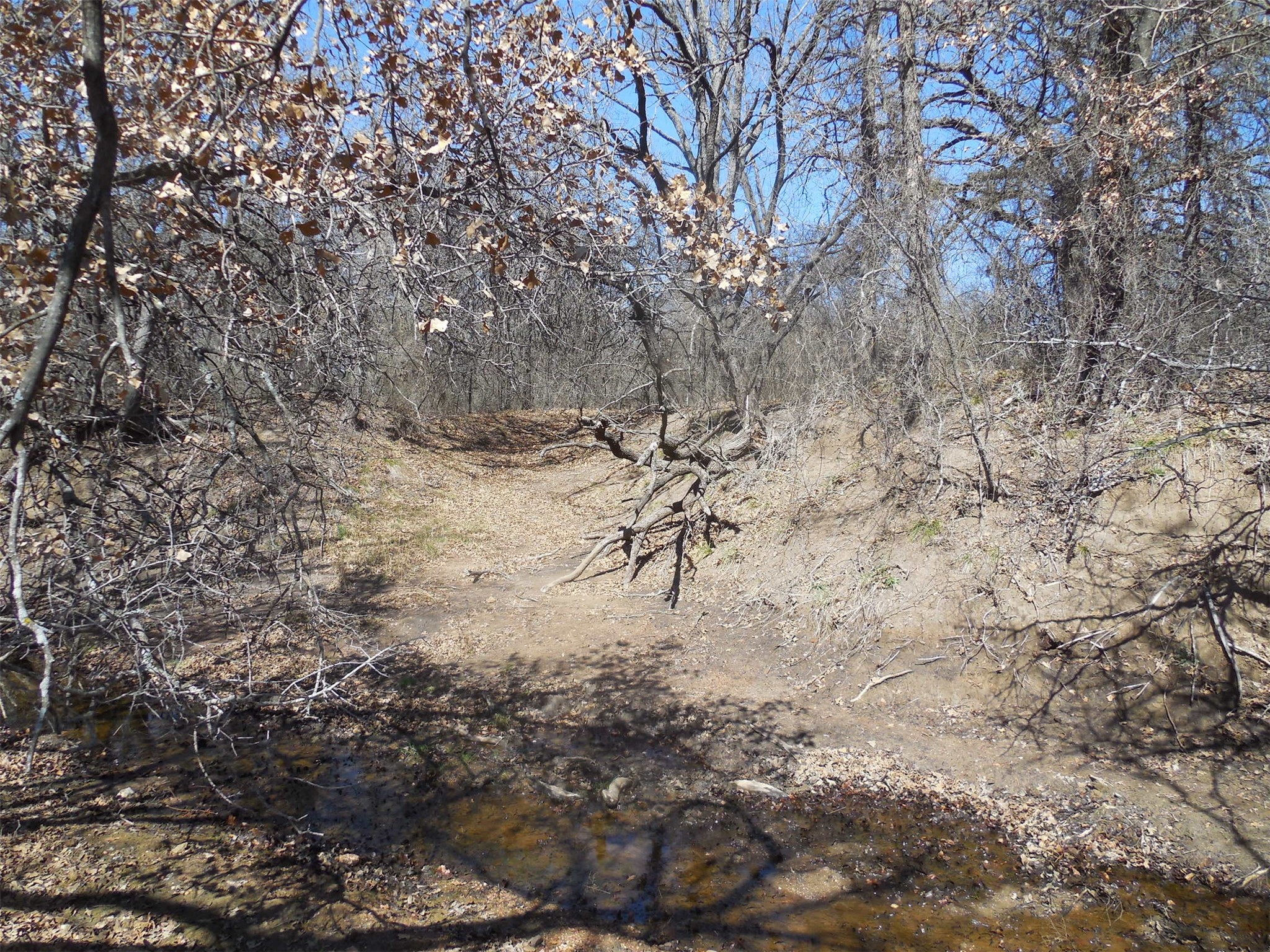 426 County Road 194 Eastland TX 76448