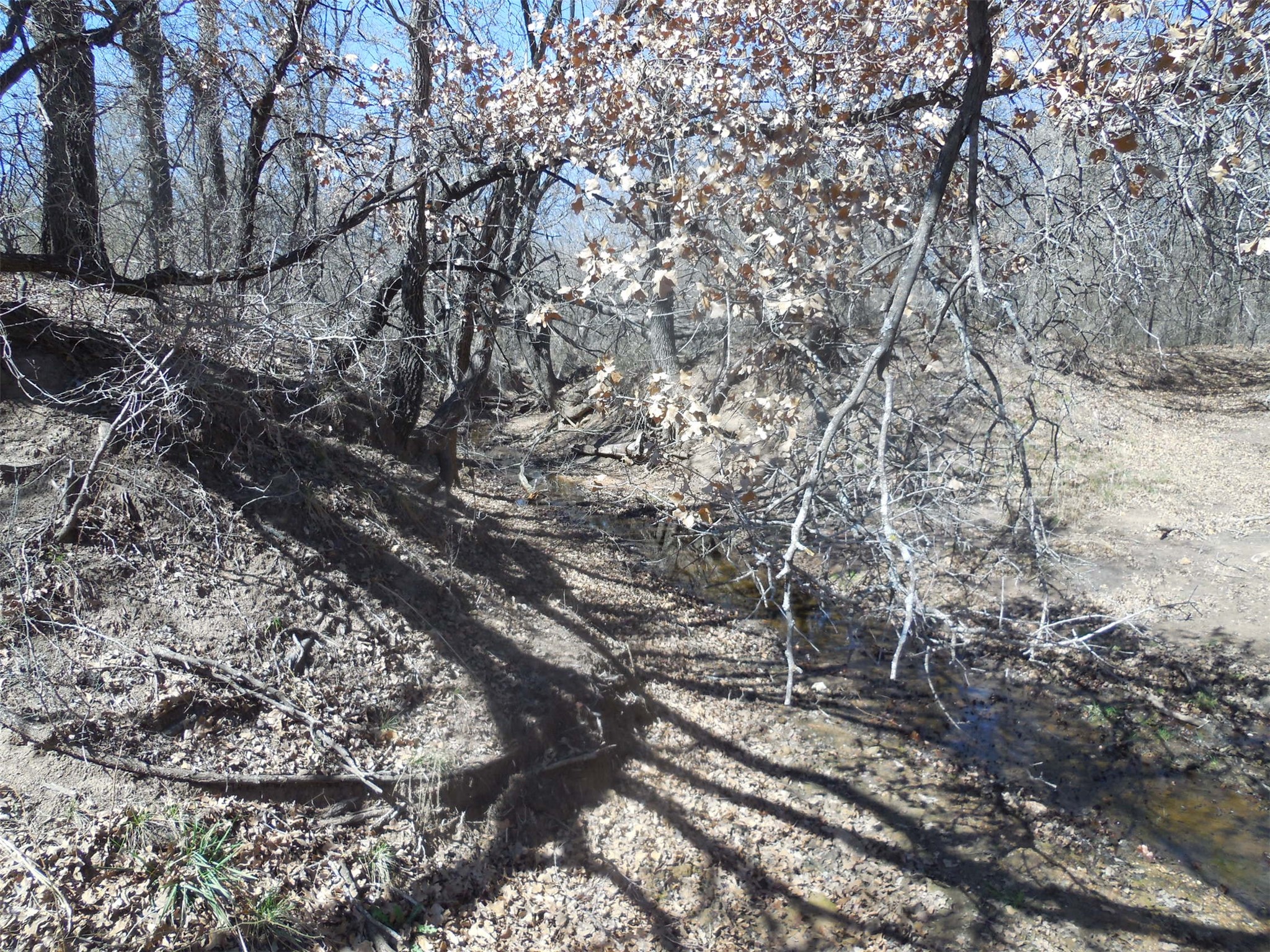 426 County Road 194 Eastland TX 76448