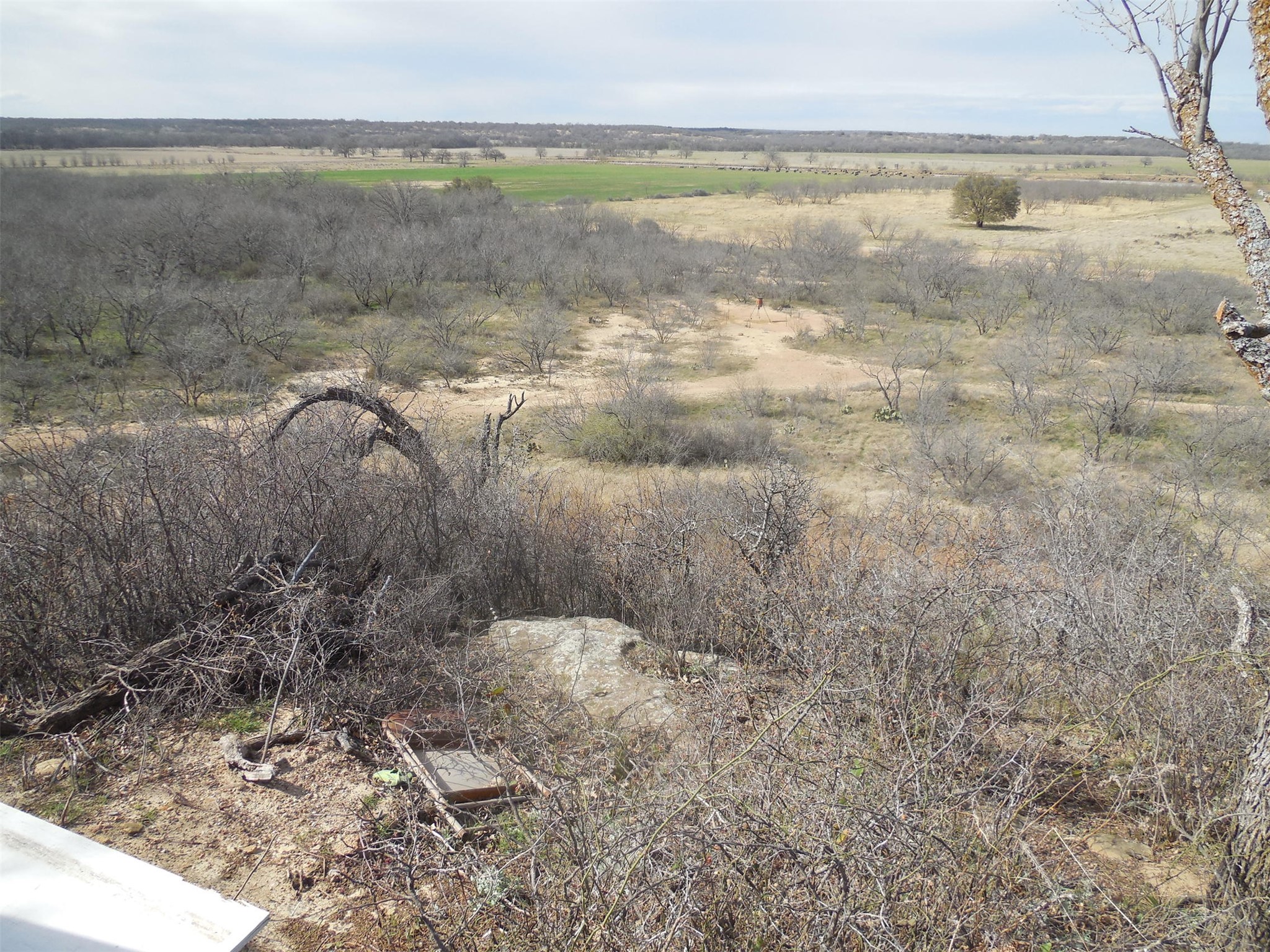 426 County Road 194 Eastland TX 76448