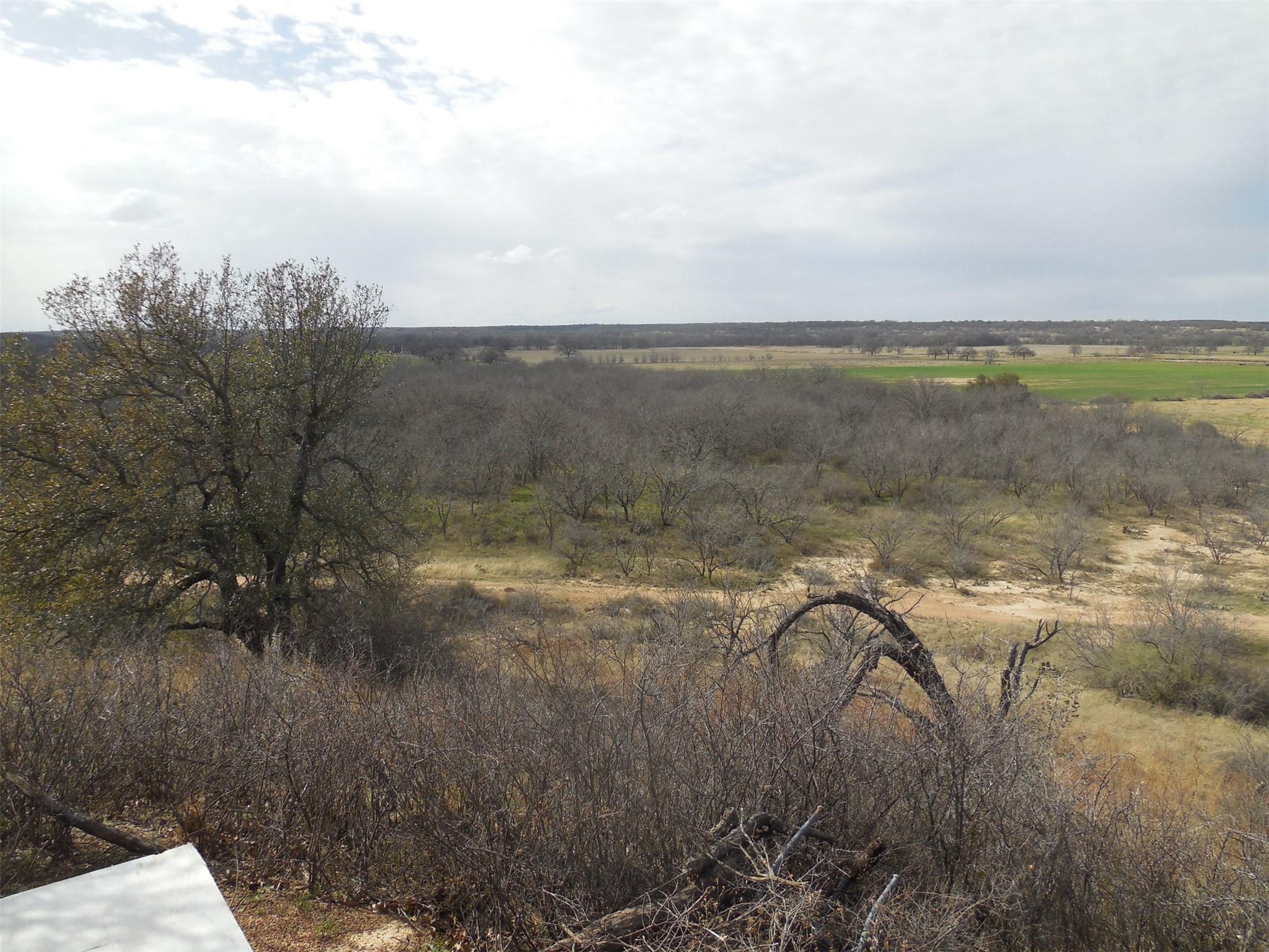 426 County Road 194 Eastland TX 76448