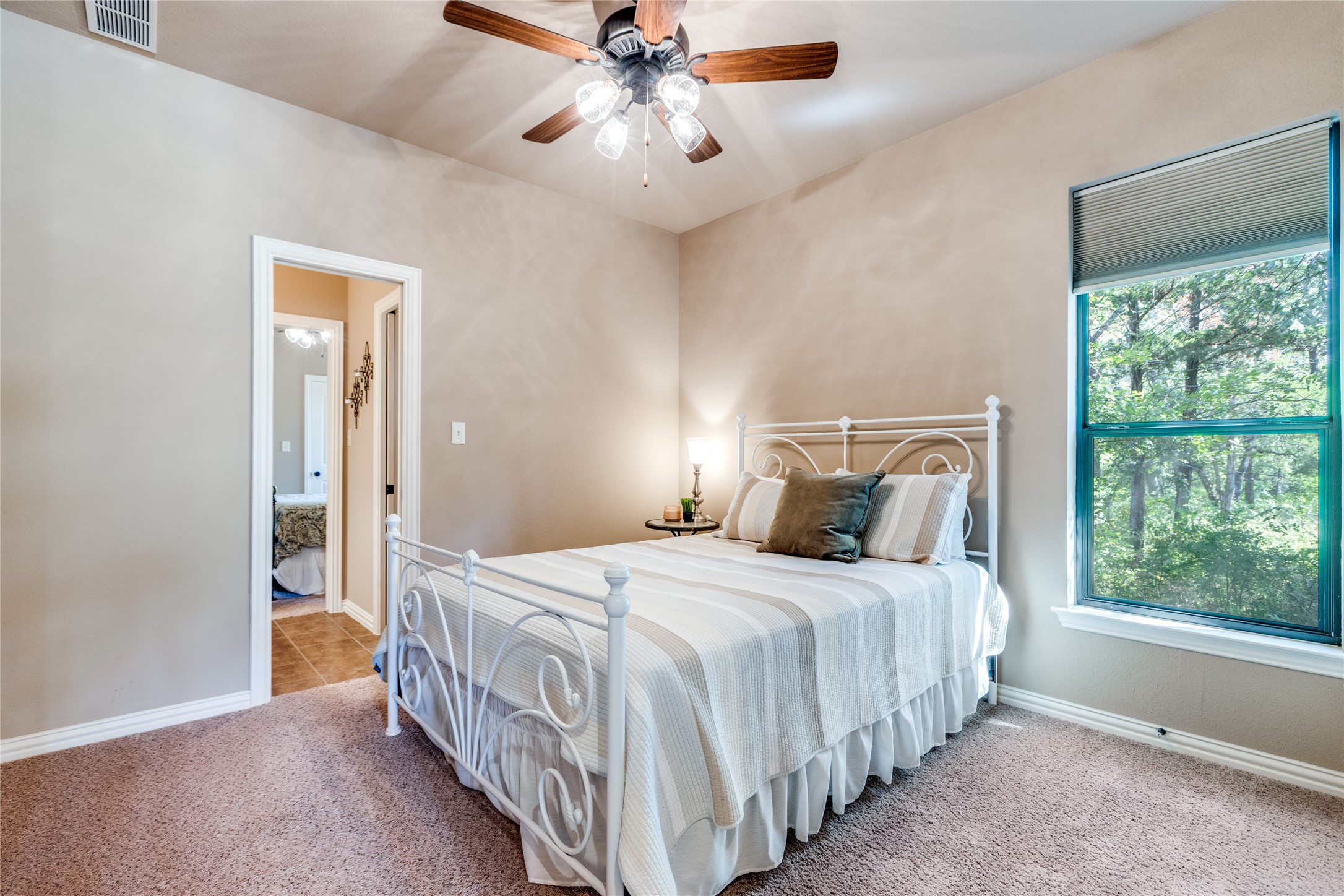159 Pronghorn Drive Gordonville TX 76245