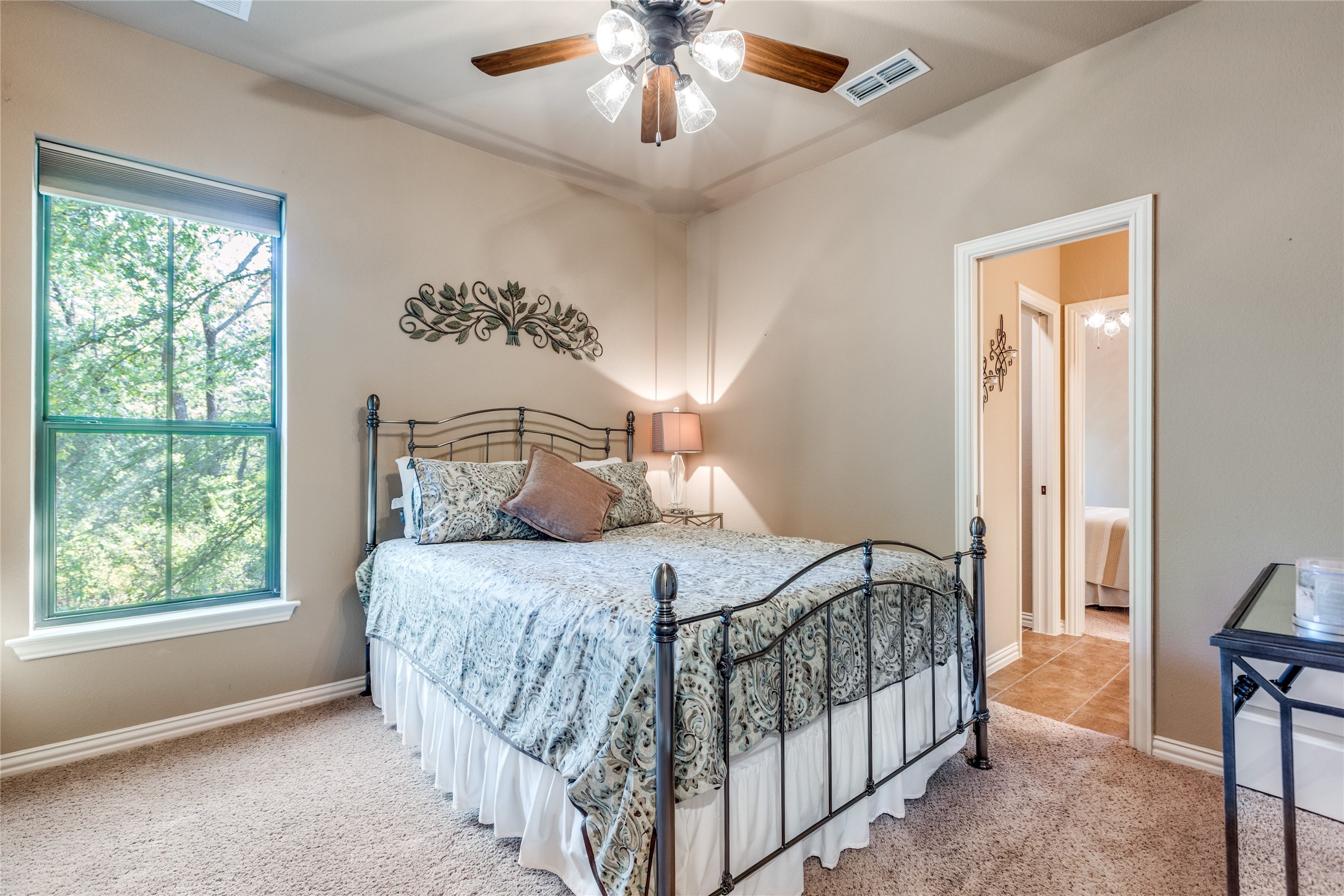 159 Pronghorn Drive Gordonville TX 76245