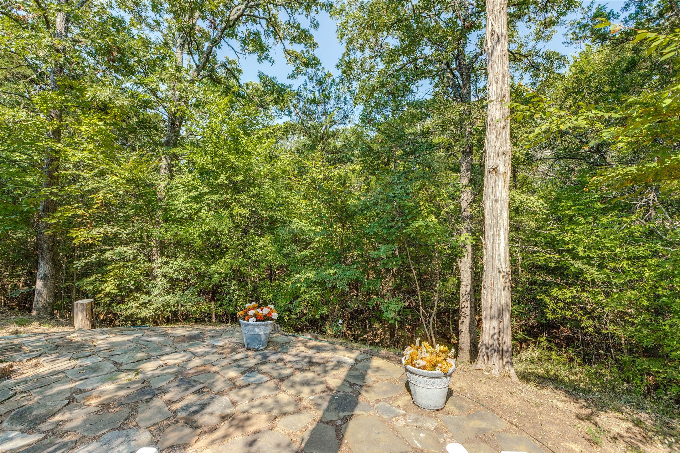 159 Pronghorn Drive Gordonville TX 76245