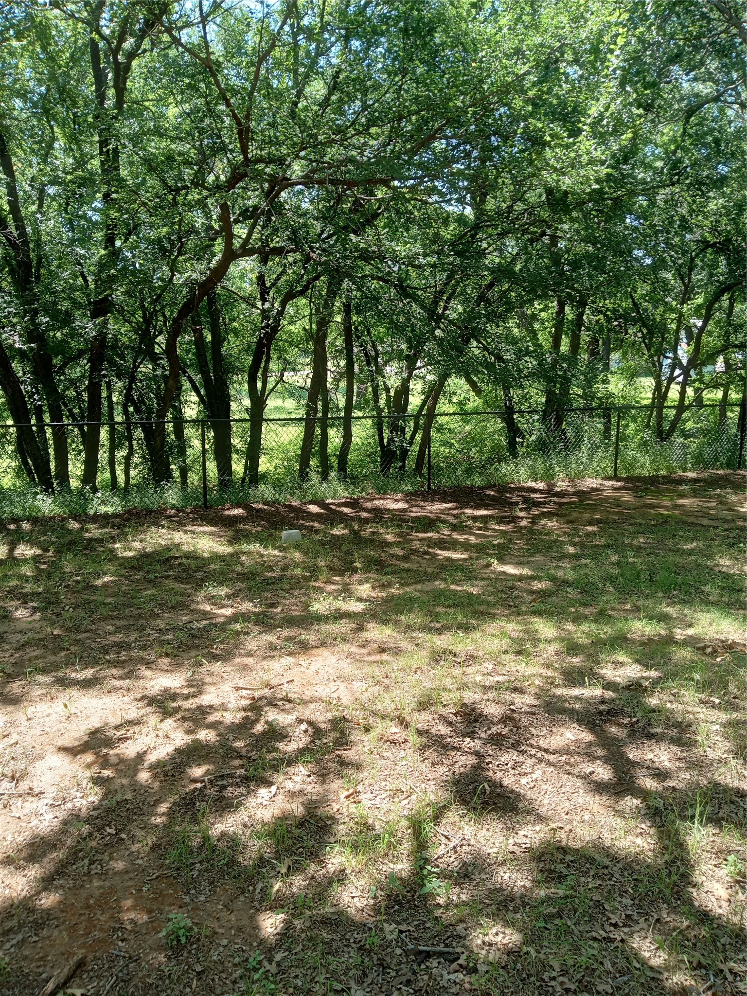 1005 Gary Street Bridgeport TX 76426