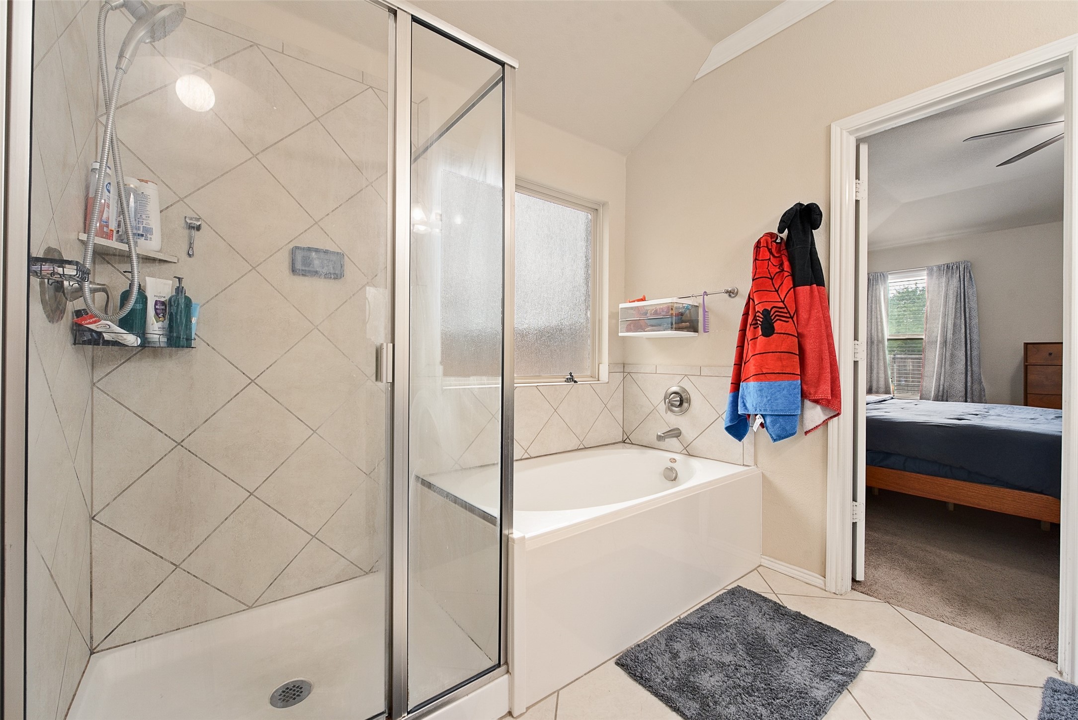 8221 Black Hills Trail Aubrey TX 76227