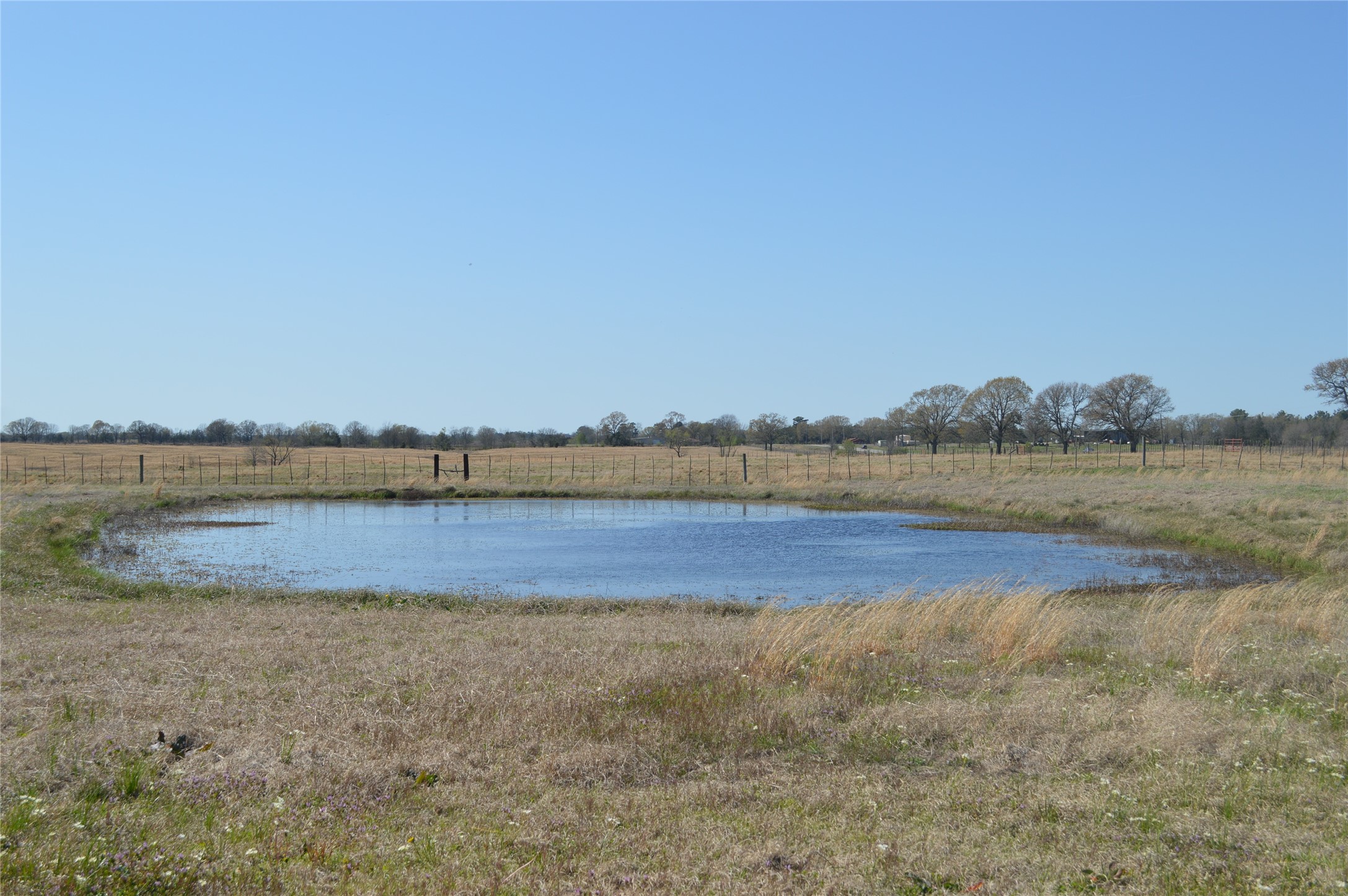 17293 Us Highway 82 W Avery TX 75554