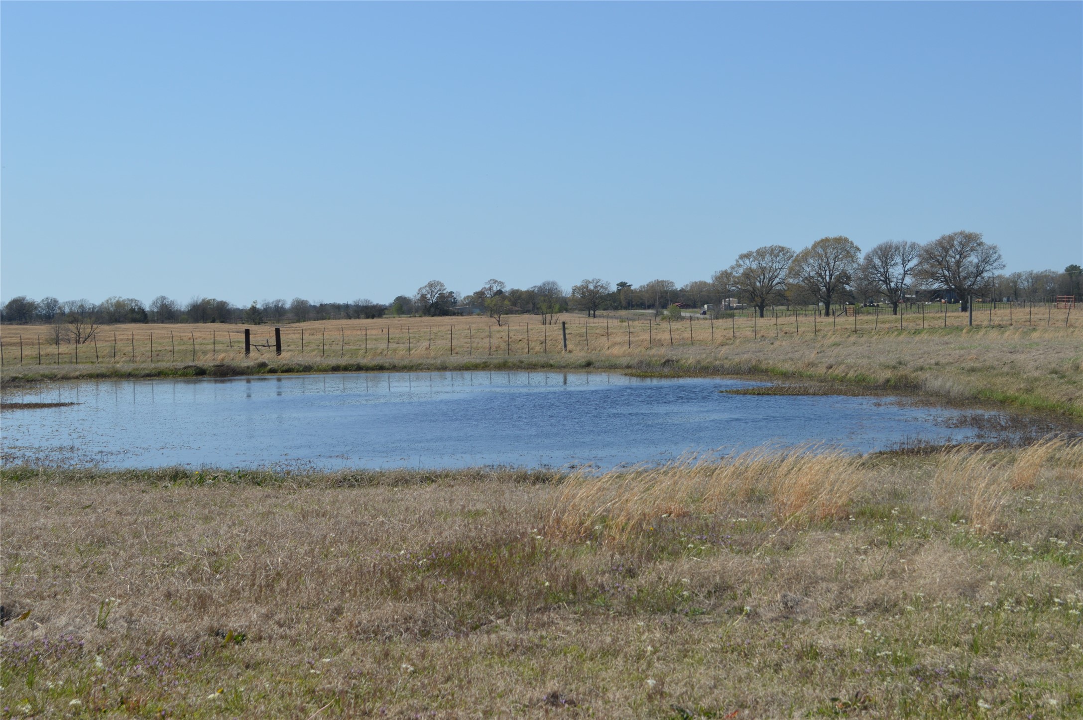 17293 Us Highway 82 W Avery TX 75554