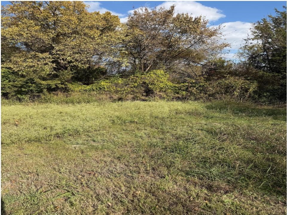 605 Bost Street Rockwall TX 75087