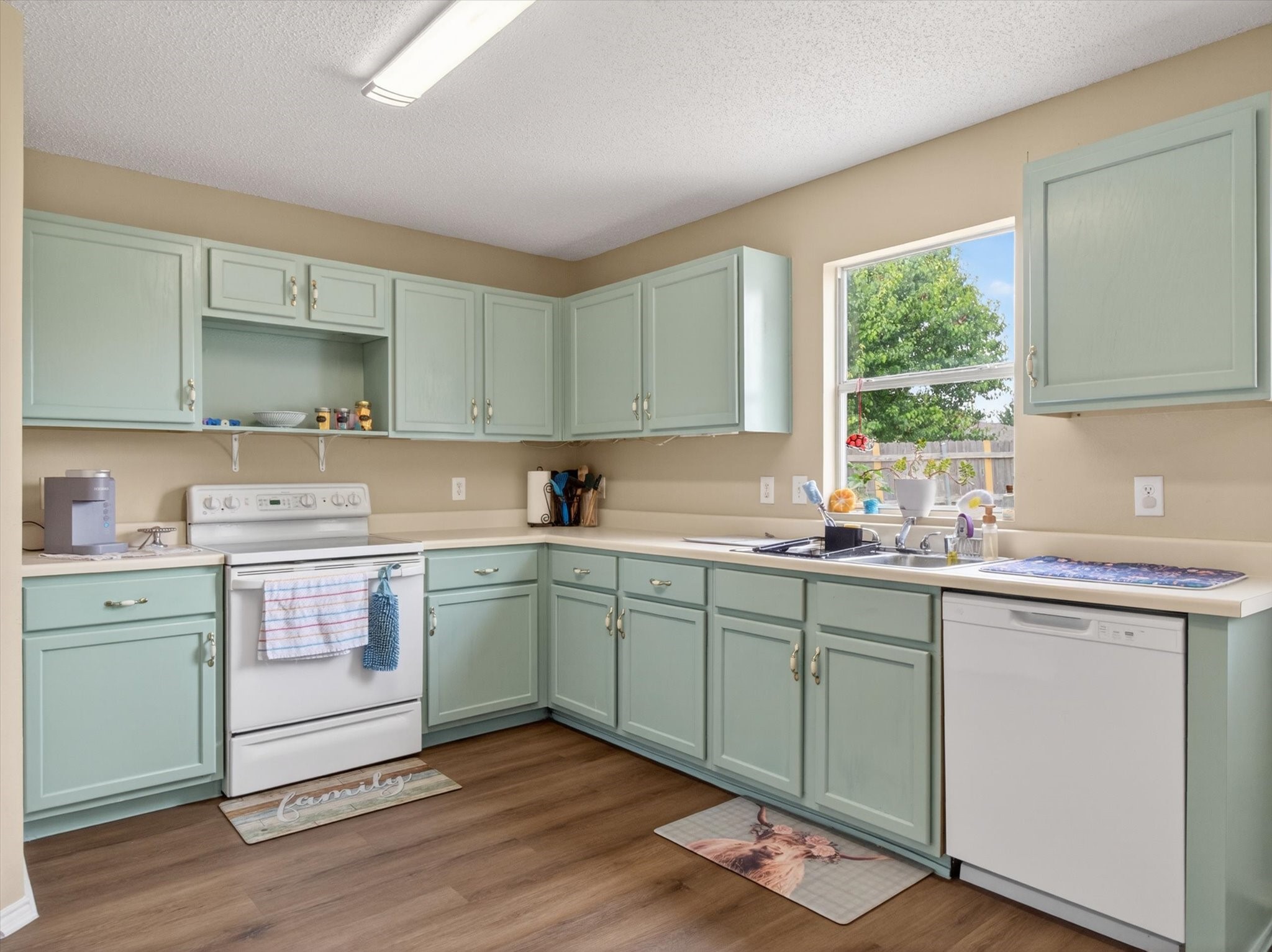2405 Chestnut Drive Little Elm TX 75068