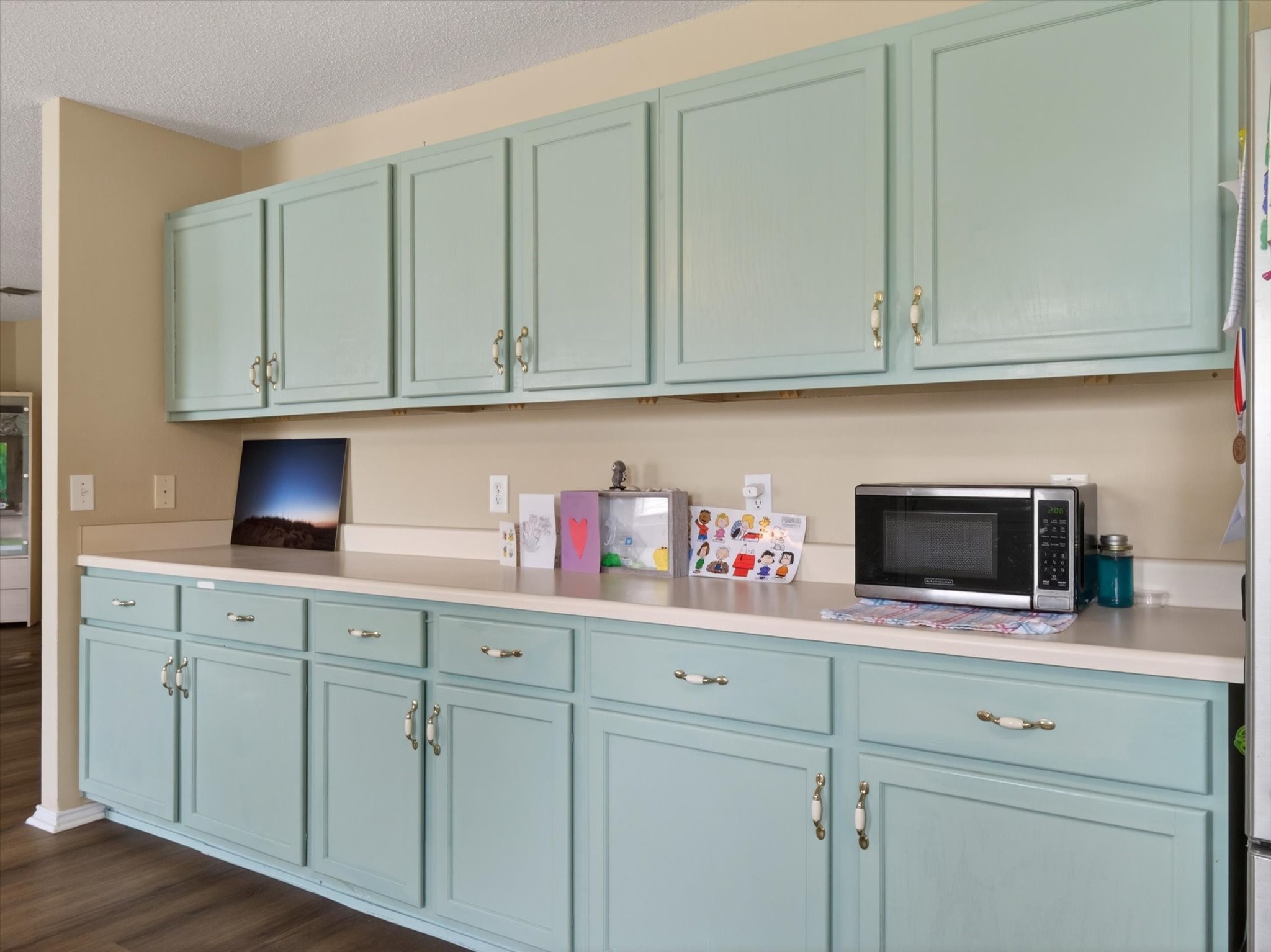 2405 Chestnut Drive Little Elm TX 75068