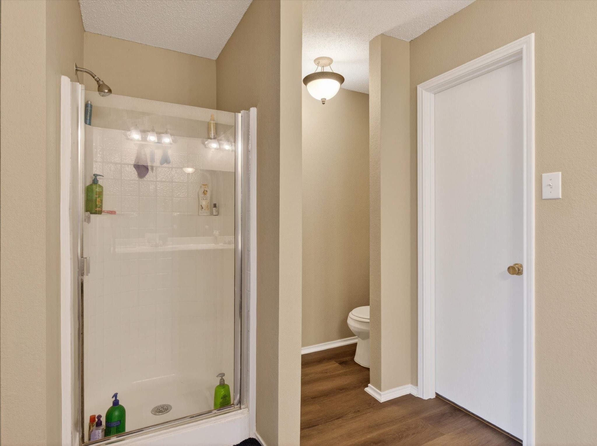 2405 Chestnut Drive Little Elm TX 75068