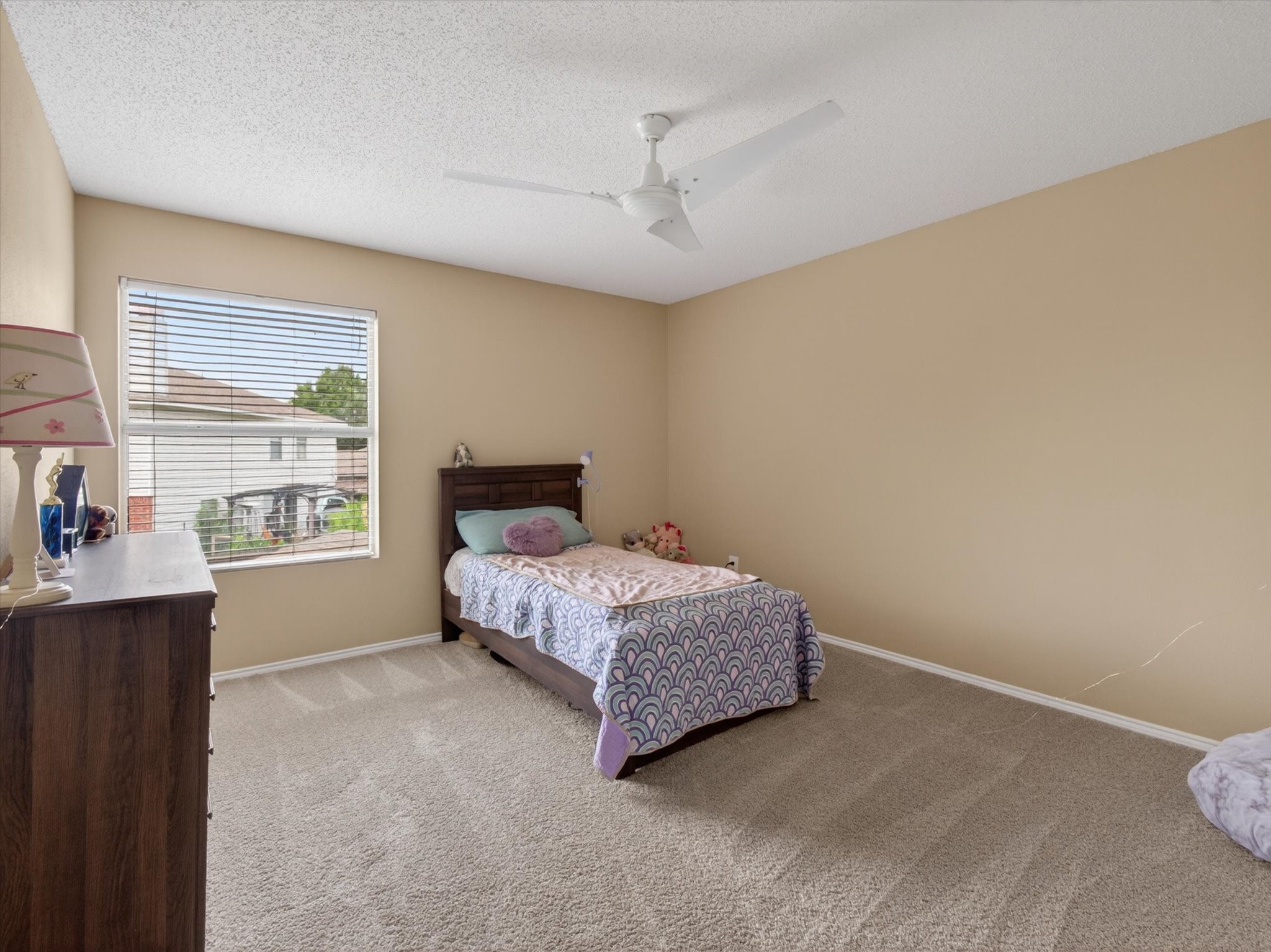 2405 Chestnut Drive Little Elm TX 75068