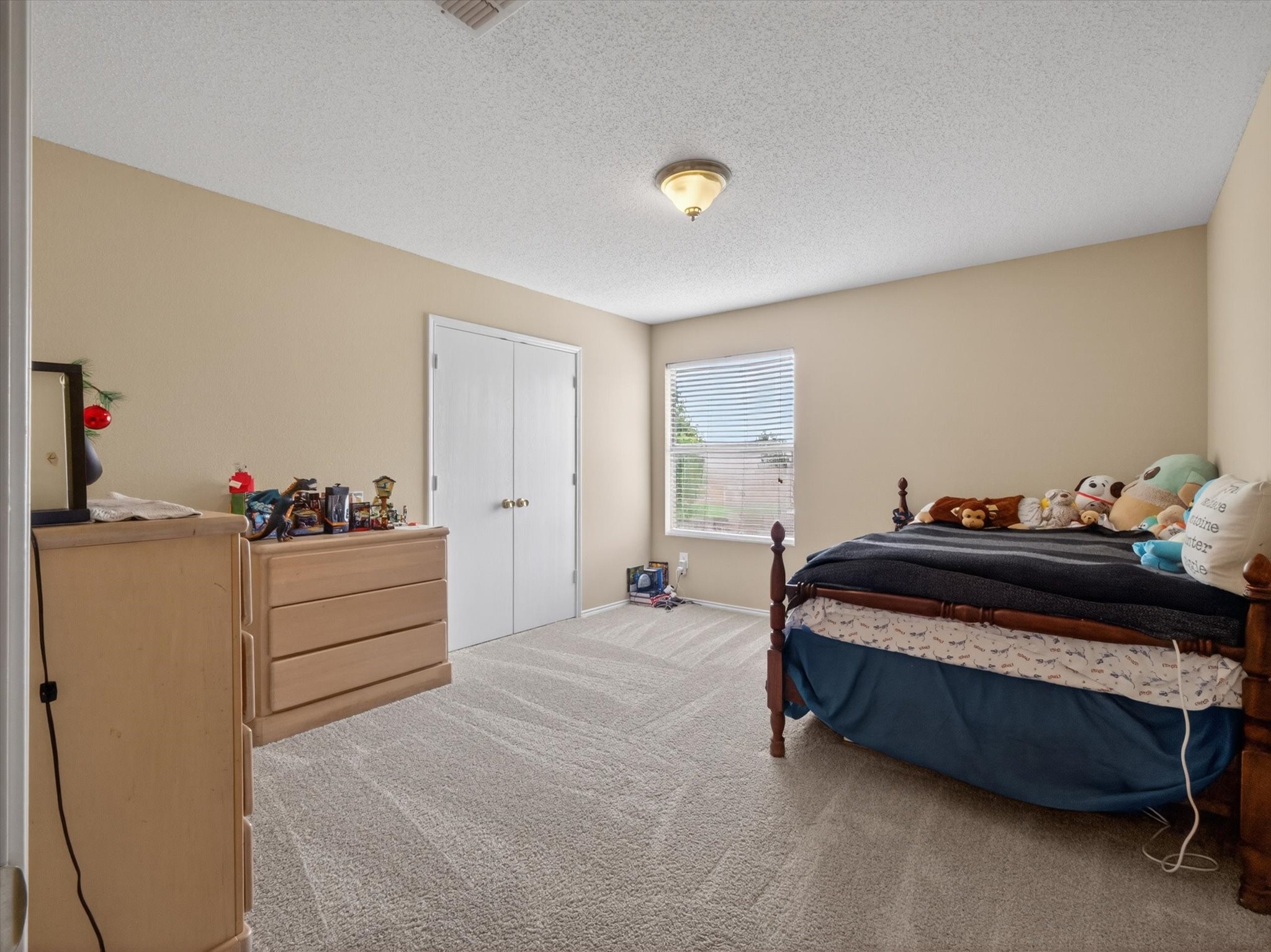 2405 Chestnut Drive Little Elm TX 75068