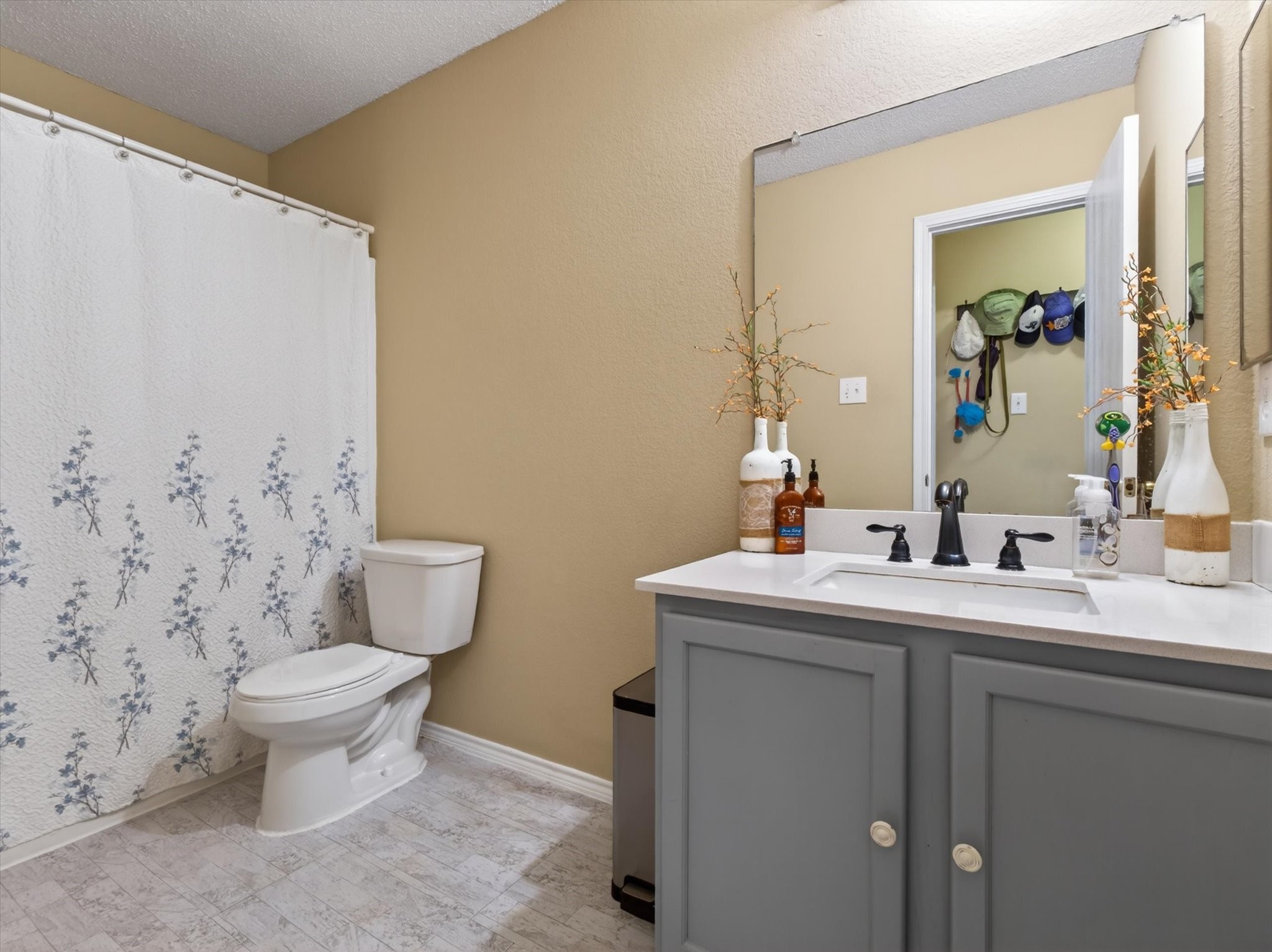 2405 Chestnut Drive Little Elm TX 75068