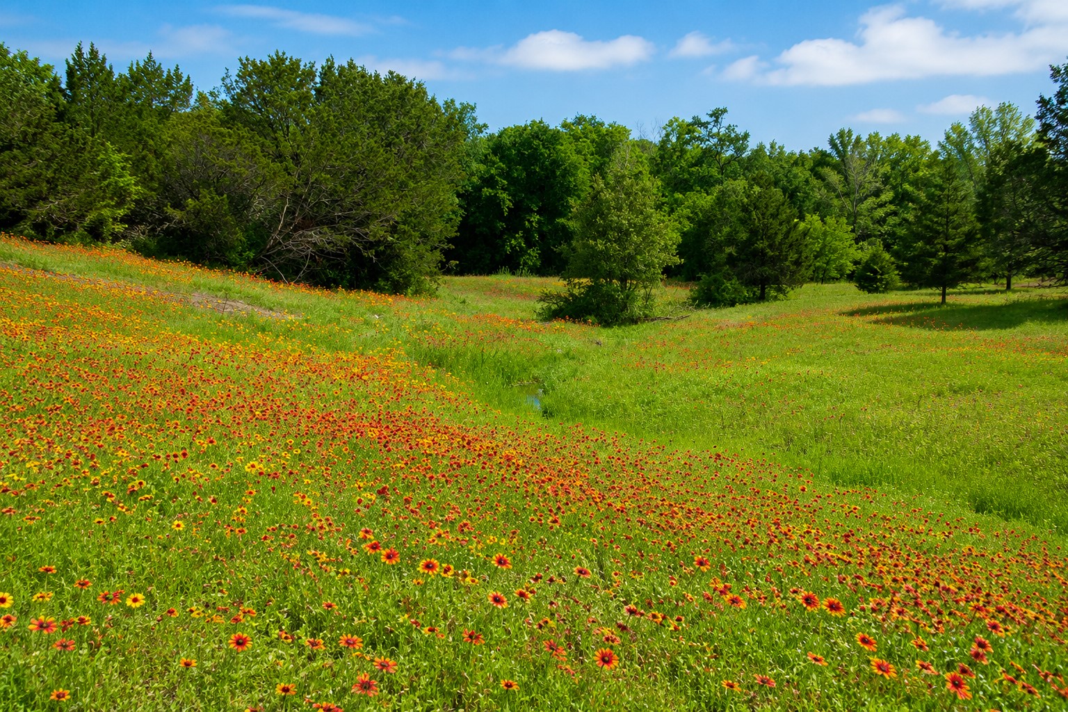 1973 County Road 513 Stephenville TX 76401