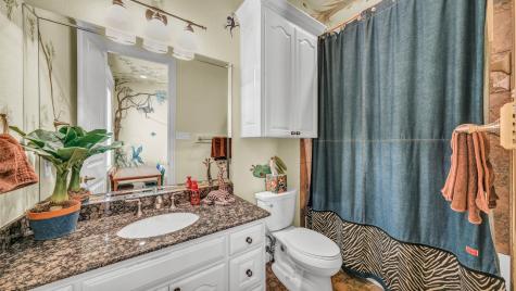 115 Autumn Springs Court Weatherford TX 76087