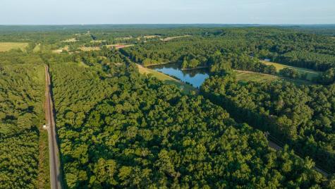 1444 County Road 1125 Daingerfield TX 75638