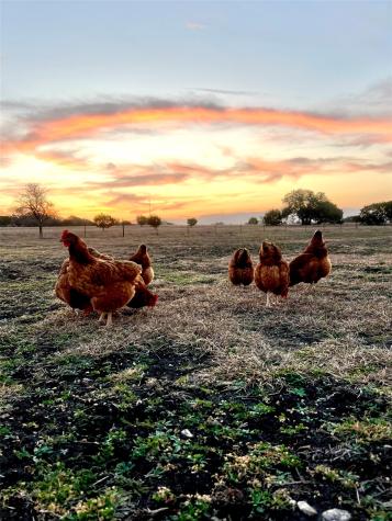474 Private Road 305 Gatesville TX 76528