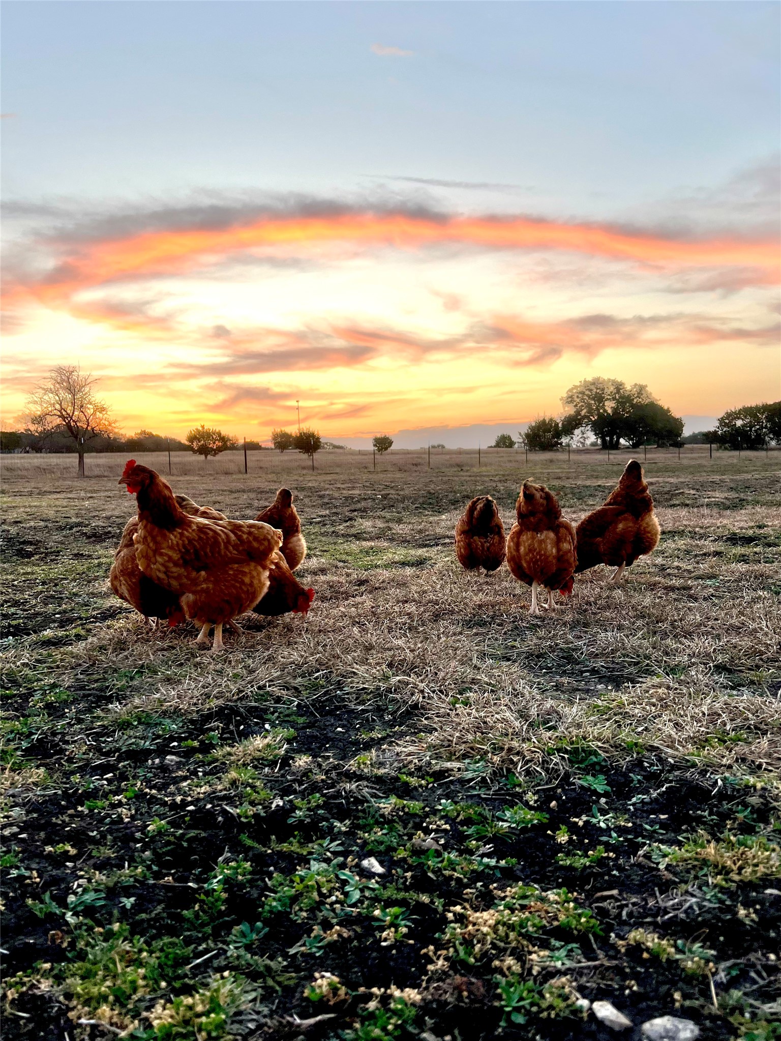 474 Private Road 305 Gatesville TX 76528