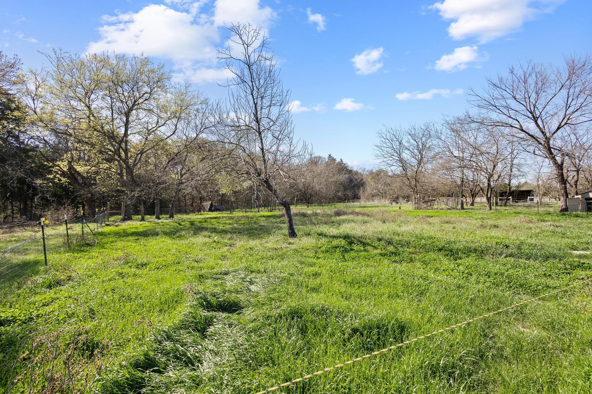 338 County Road 1120 Ravenna TX 75476