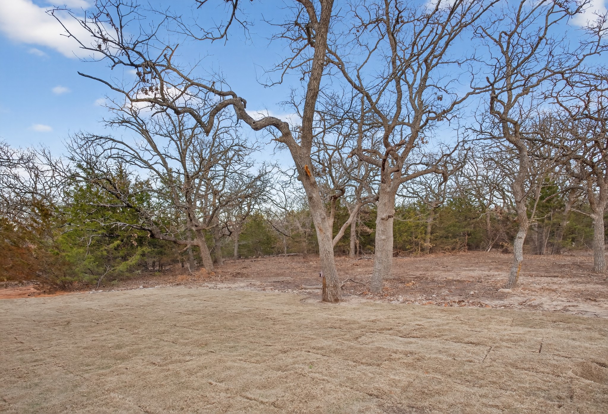 3323 Fm 3164 Gainesville TX 76240