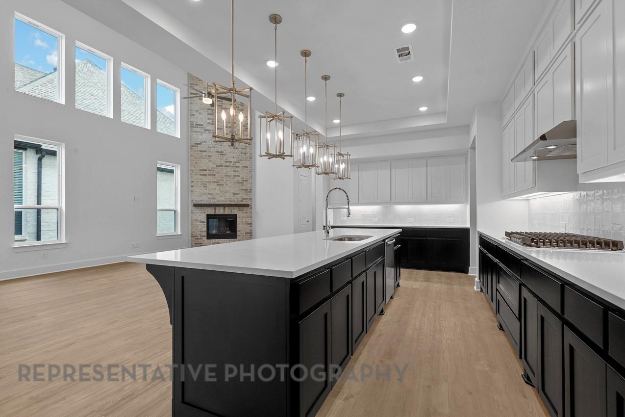 4449 Blue Sky Drive Celina TX 75078
