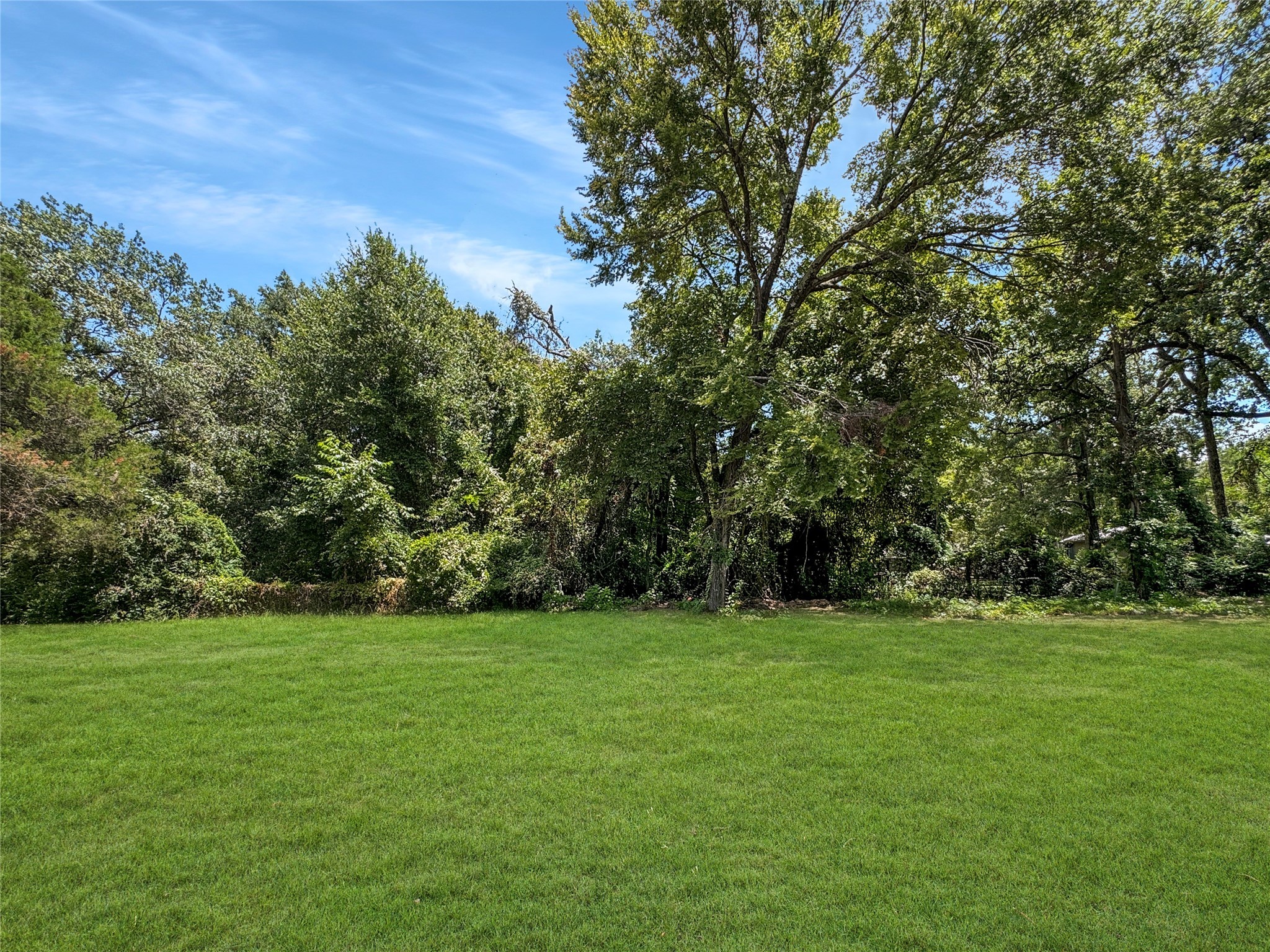 1005 Wood Canyon Road Tool TX 75143
