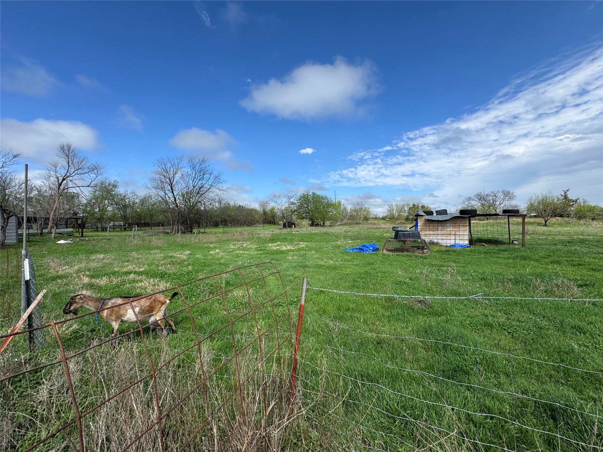 733 Foster Street Marlin TX 76661