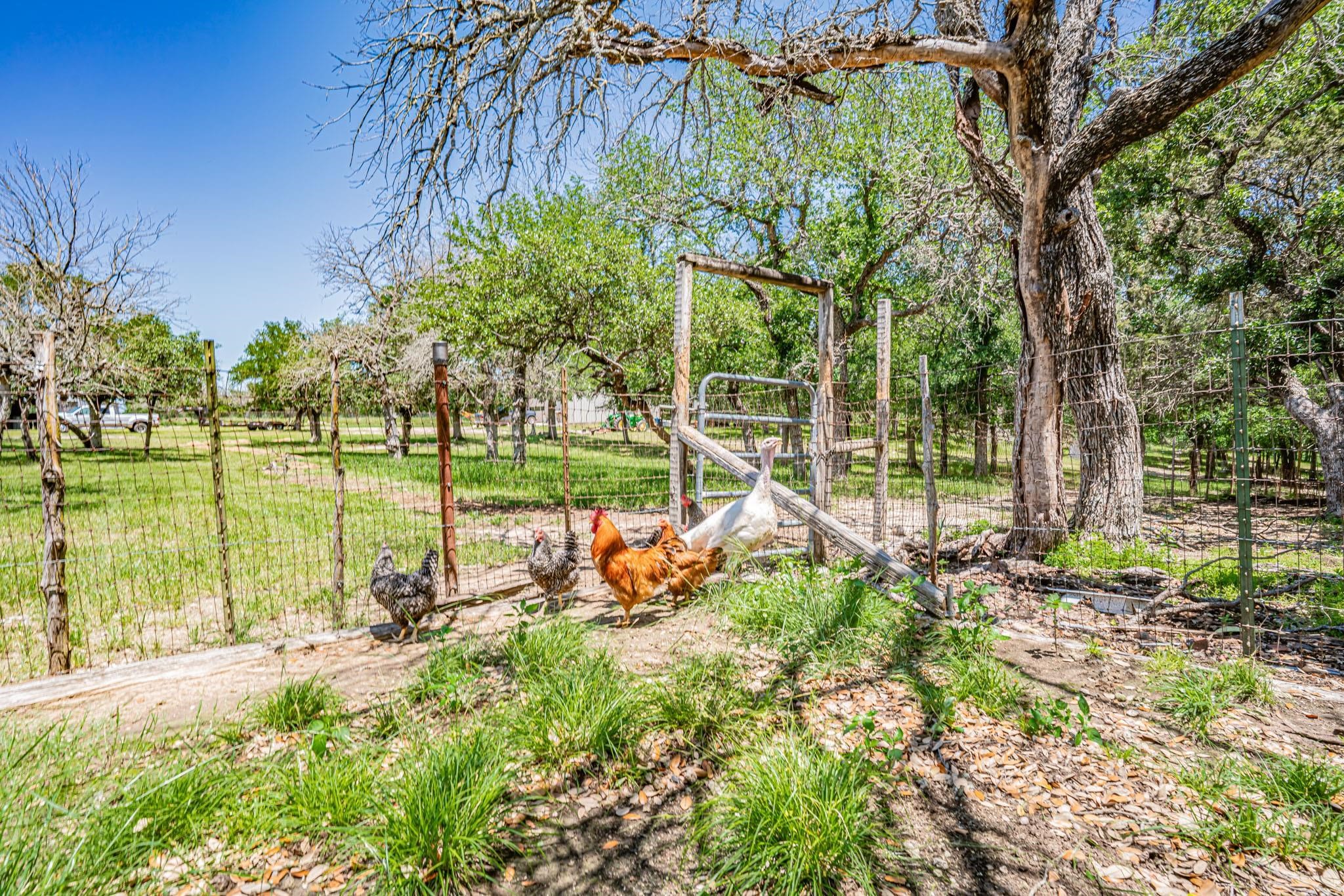 9500 S Fm 730 Azle TX 76020
