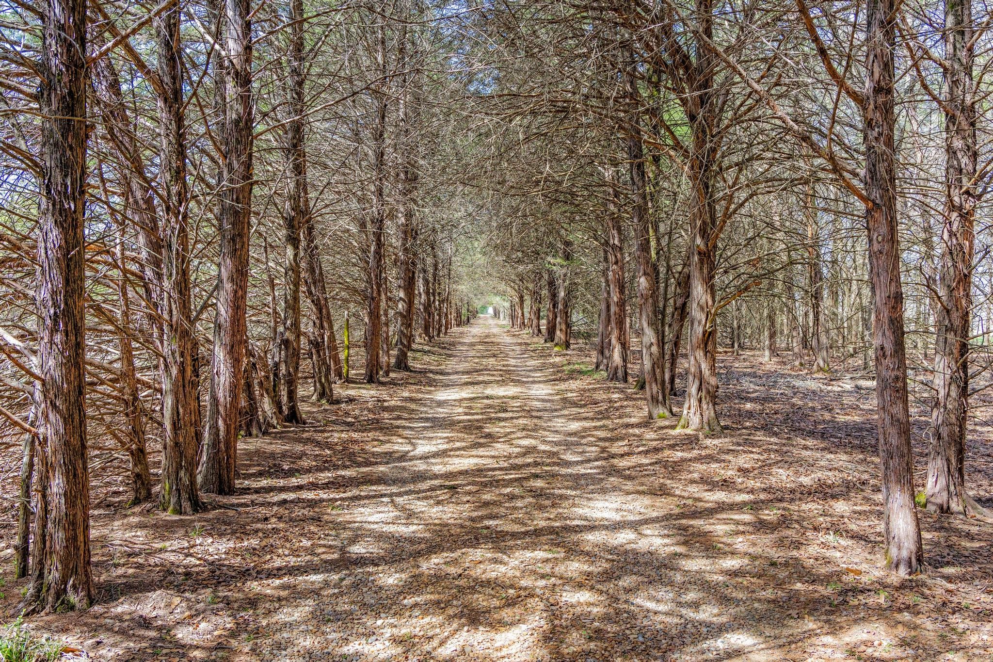 1393 County Road 2250 Ivanhoe TX 75447