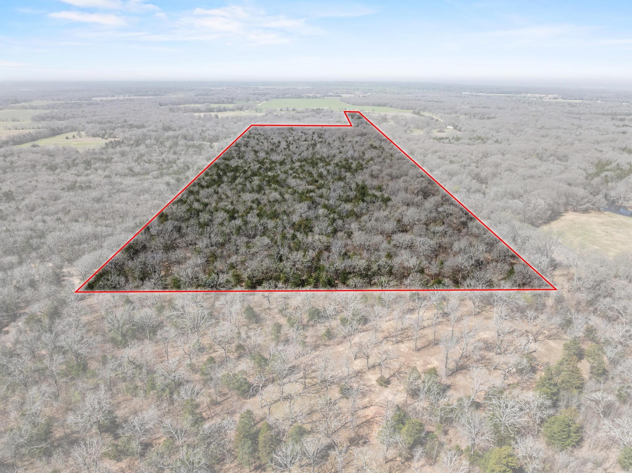 1393 County Road 2250 Ivanhoe TX 75447