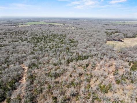 1393 County Road 2250 Ivanhoe TX 75447