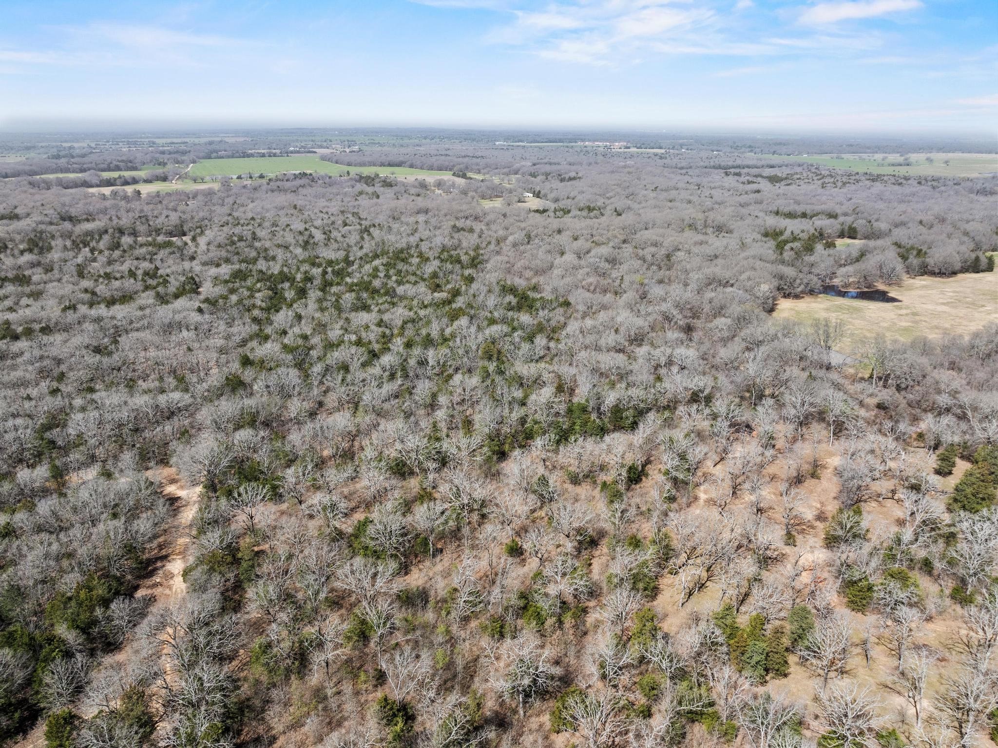 1393 County Road 2250 Ivanhoe TX 75447