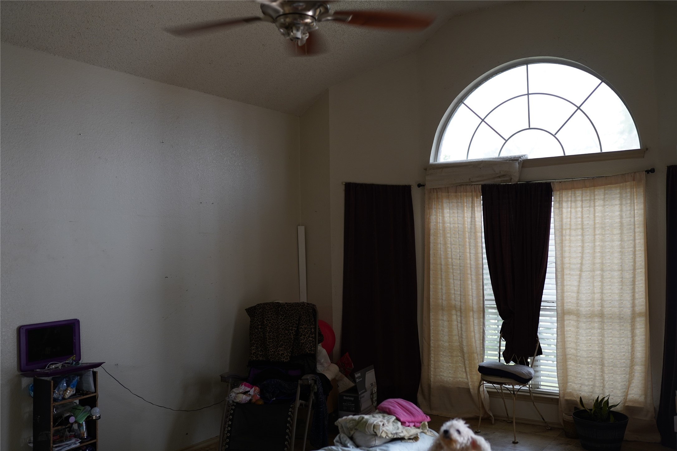 1005 Twin Creek Drive Desoto TX 75115