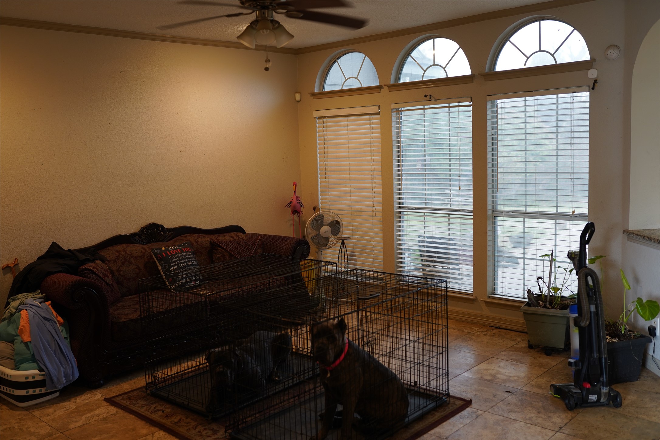 1005 Twin Creek Drive Desoto TX 75115