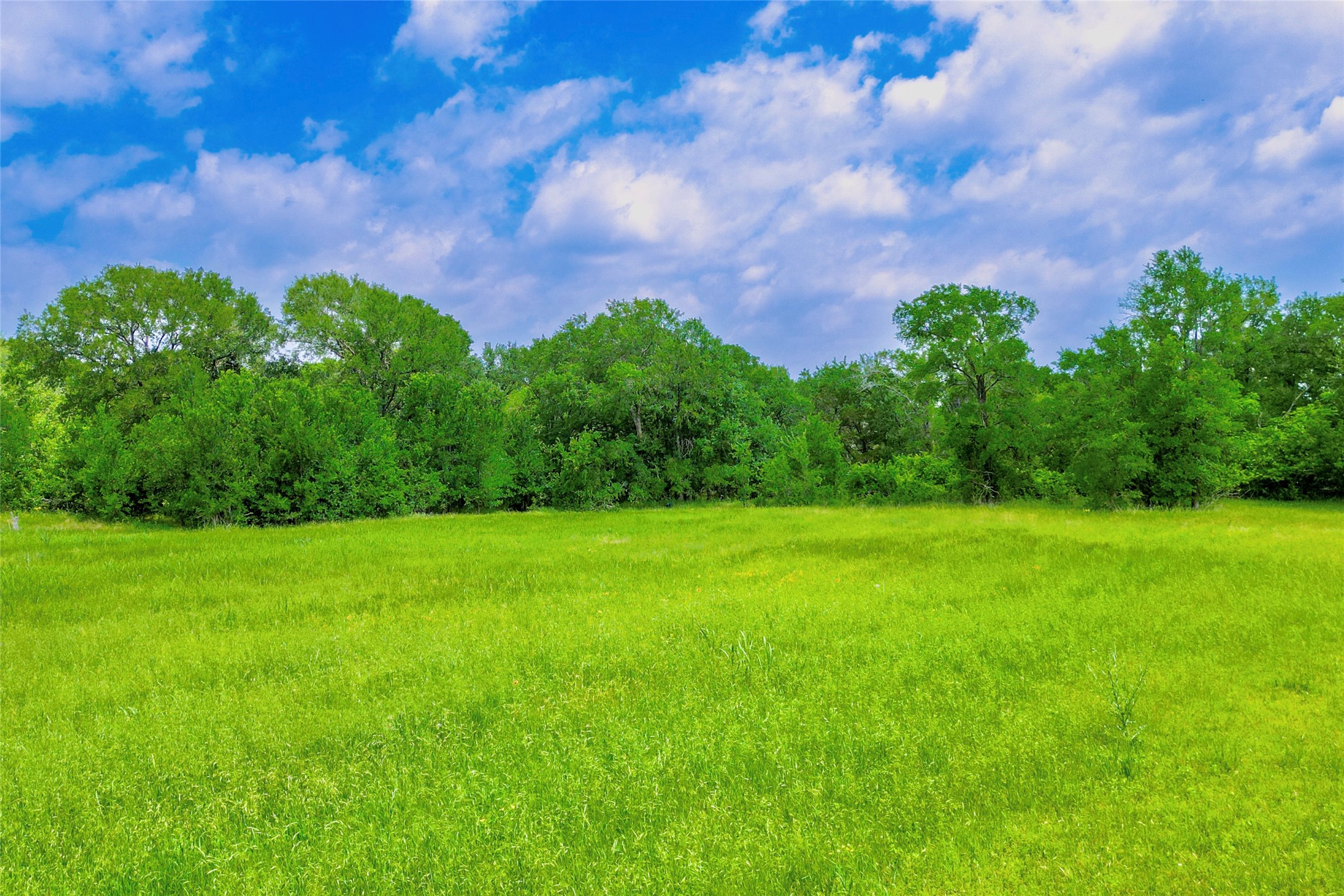 12414 Rock Creek Road Waco TX 76708
