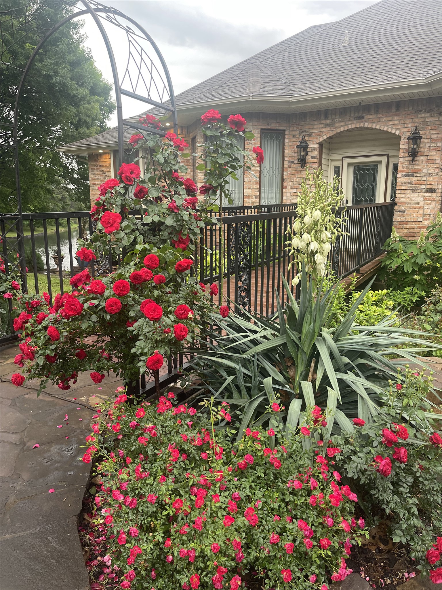 2910 Lakeshore Court Arlington TX 76013