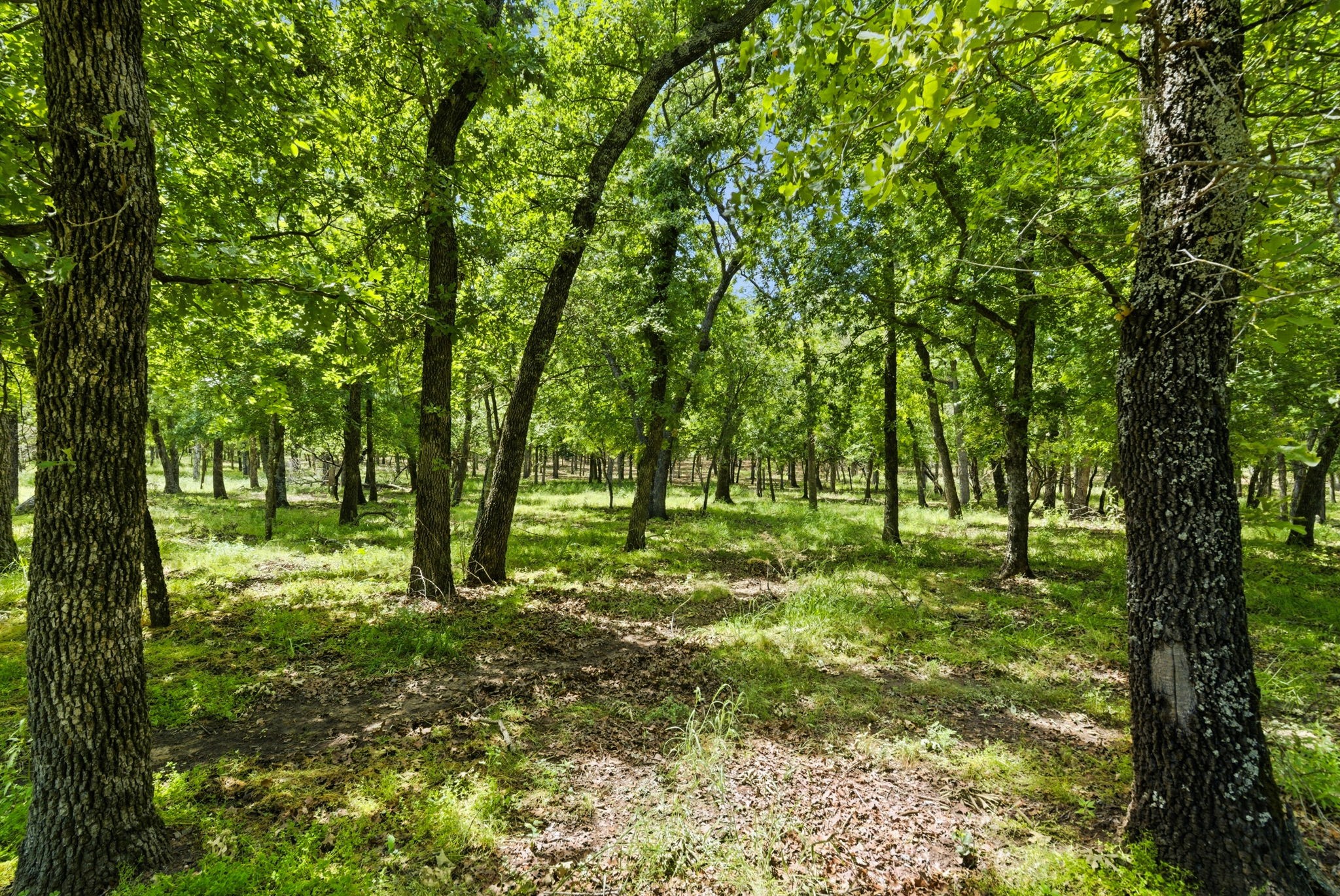 148 Arista Trail Poolville TX 76487