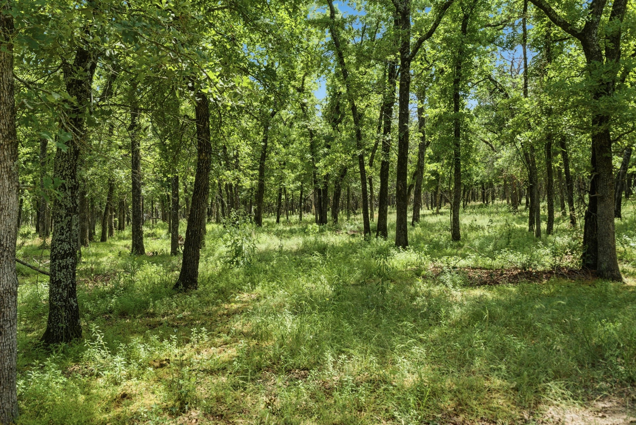 148 Arista Trail Poolville TX 76487