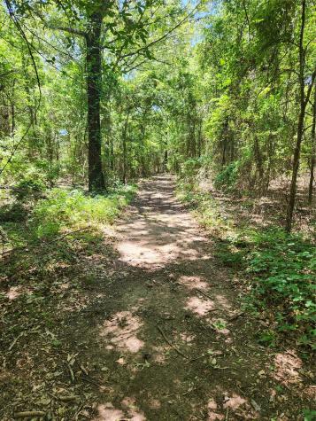421 Vz County Road 3613 Edgewood TX 75117