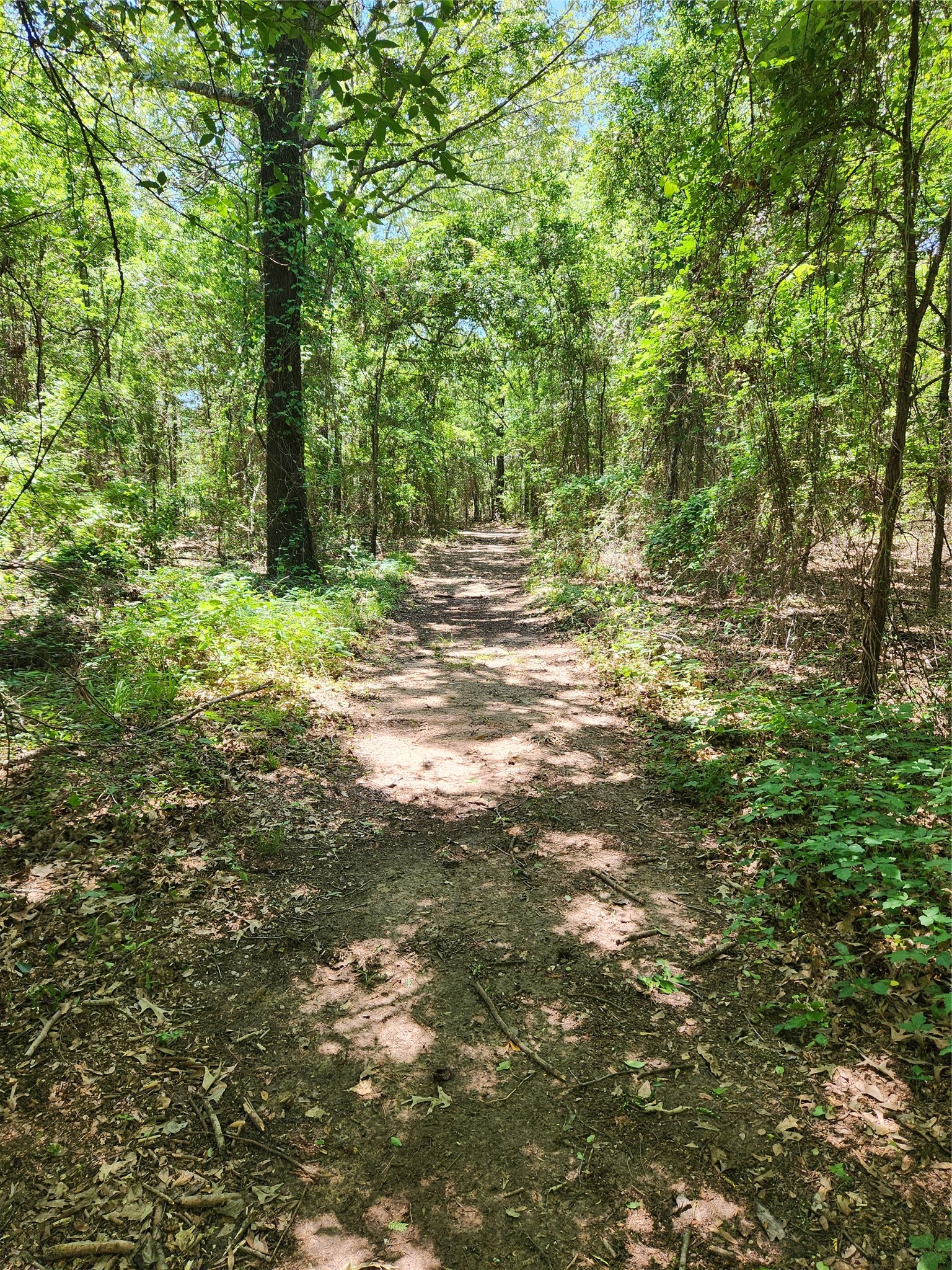 421 Vz County Road 3613 Edgewood TX 75117