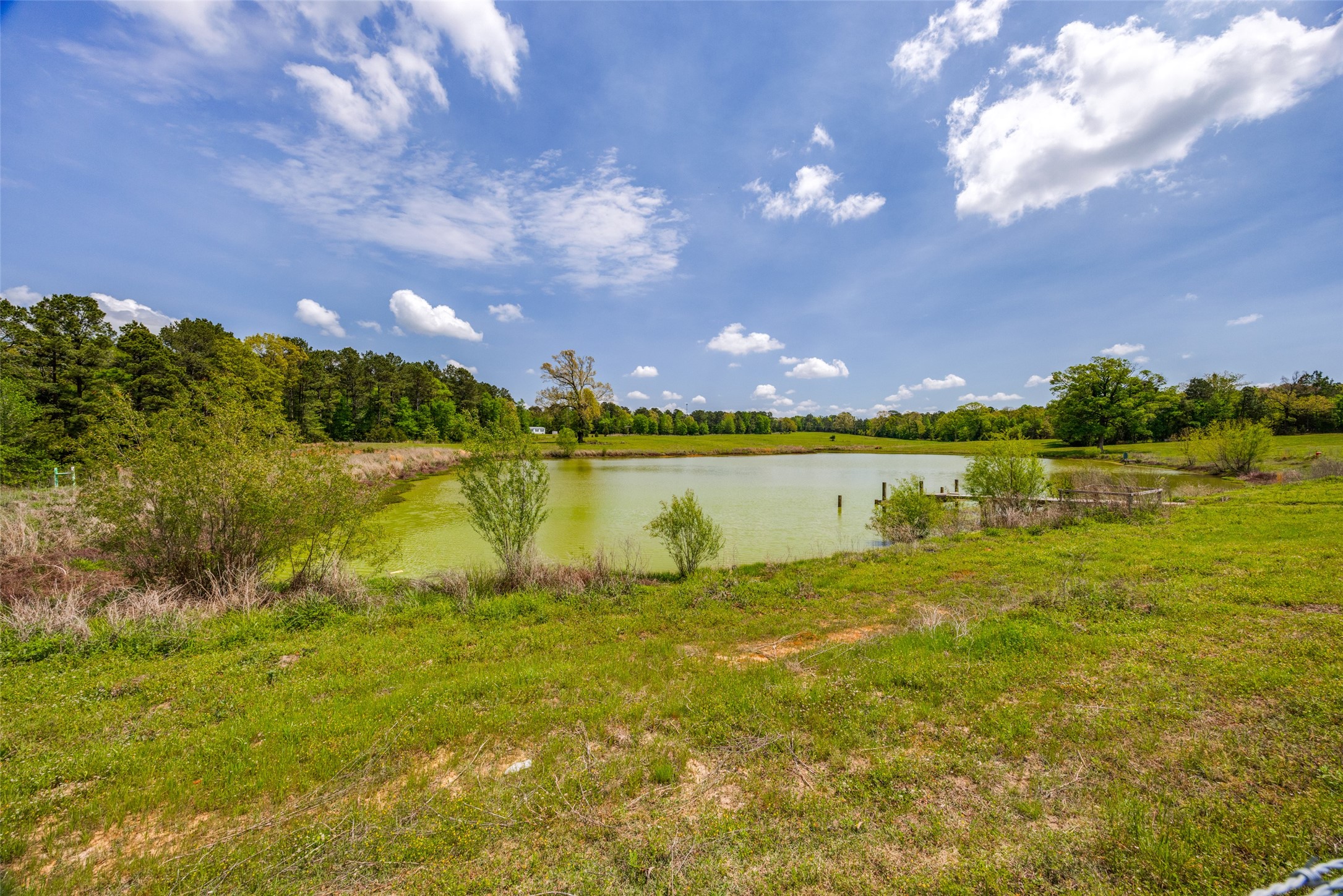 1050 County Road 2618 Marietta TX 75566