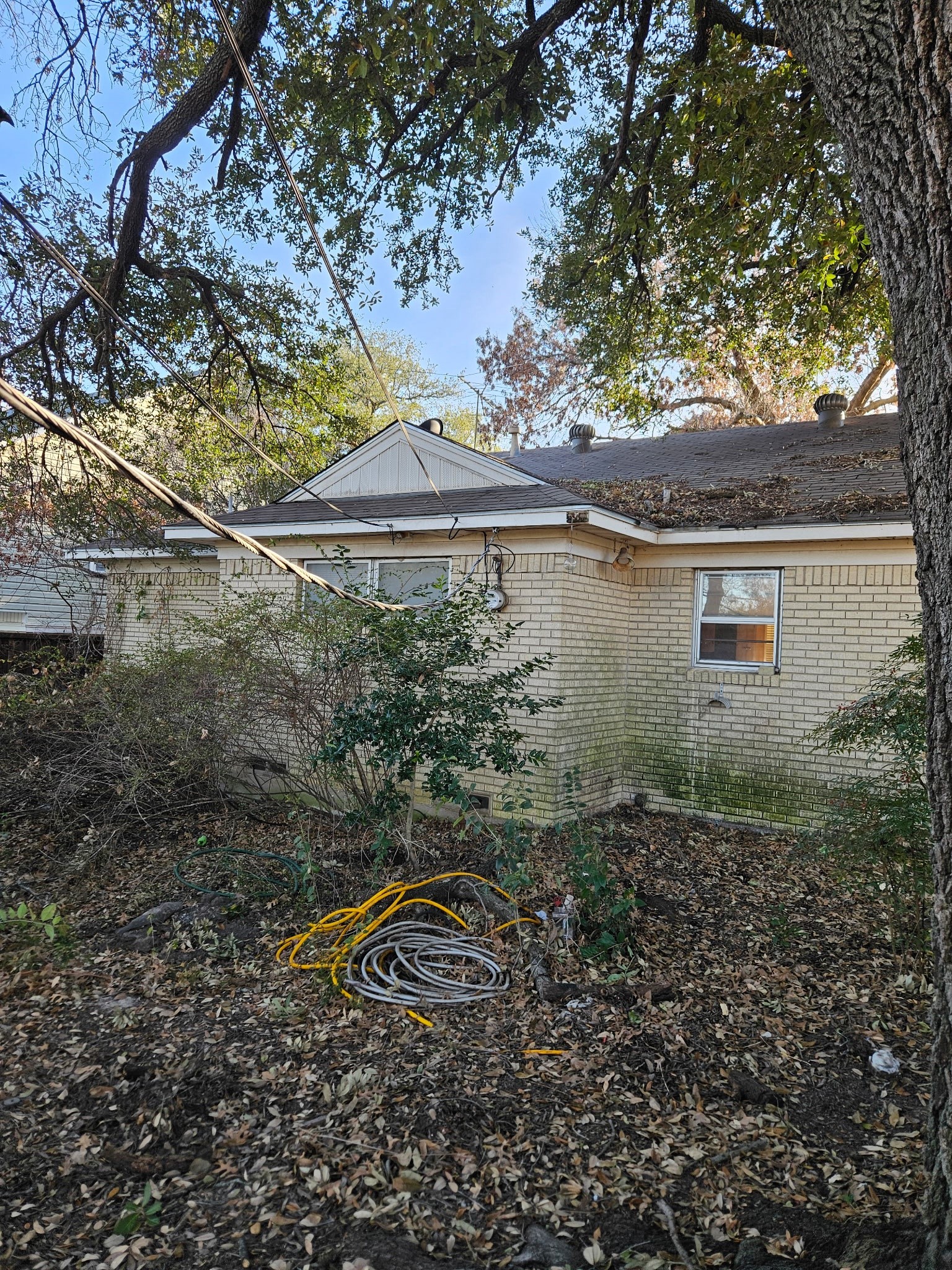 816 Kirkwood Drive Dallas TX 75218