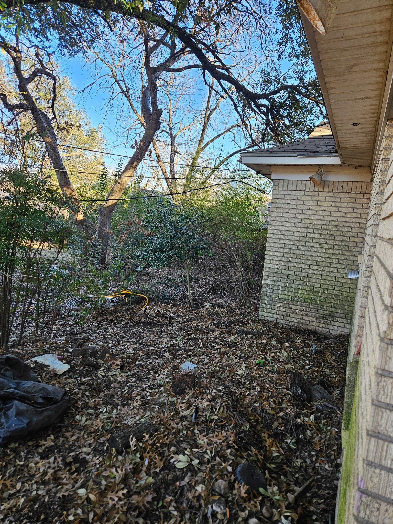 816 Kirkwood Drive Dallas TX 75218
