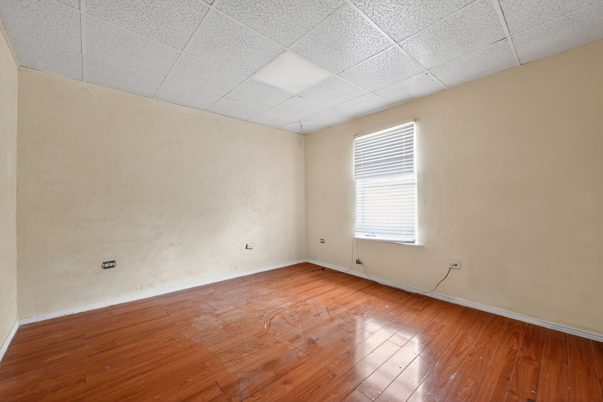919 Wayne Street Dallas TX 75223