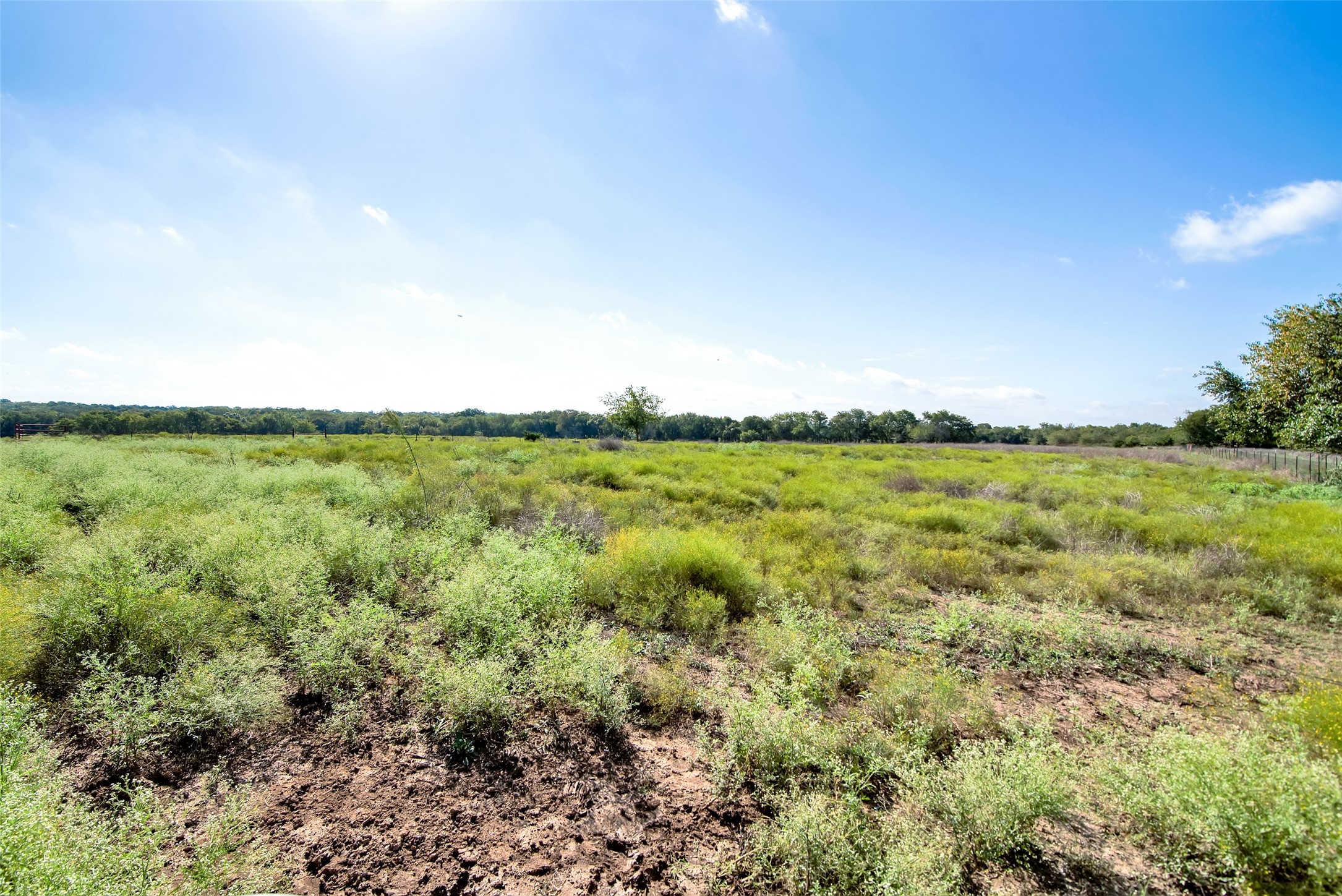 1106 Andy Thomas Road Whitewright TX 75491
