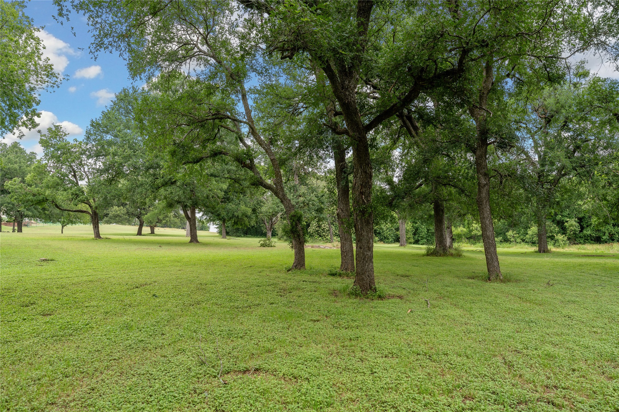 499 County Road 1812 Clifton TX 76634