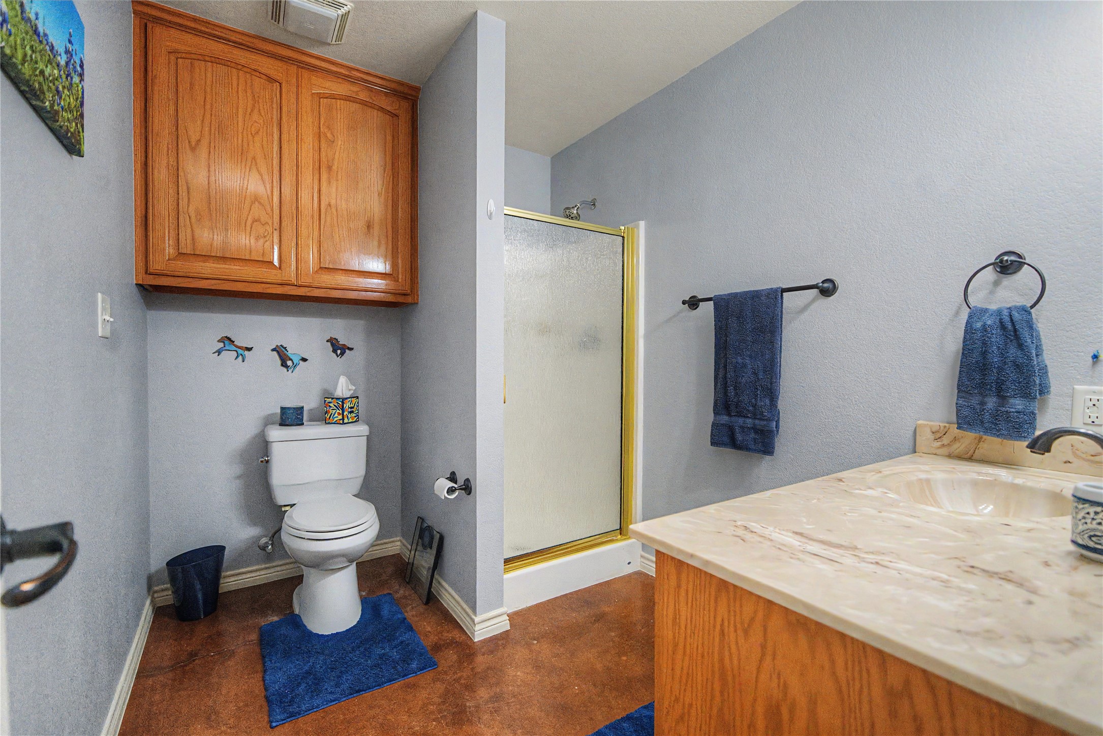 835 Wood Hollow Drive Weatherford TX 76087
