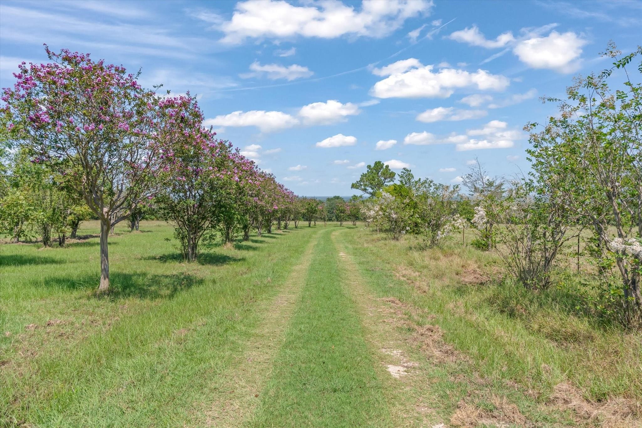 2503 Vz County Road 3804 Wills Point TX 75169