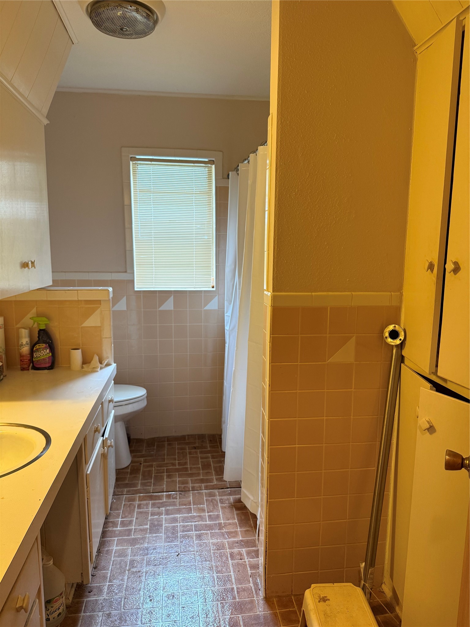 25362 Fm-137 Petty TX 75470